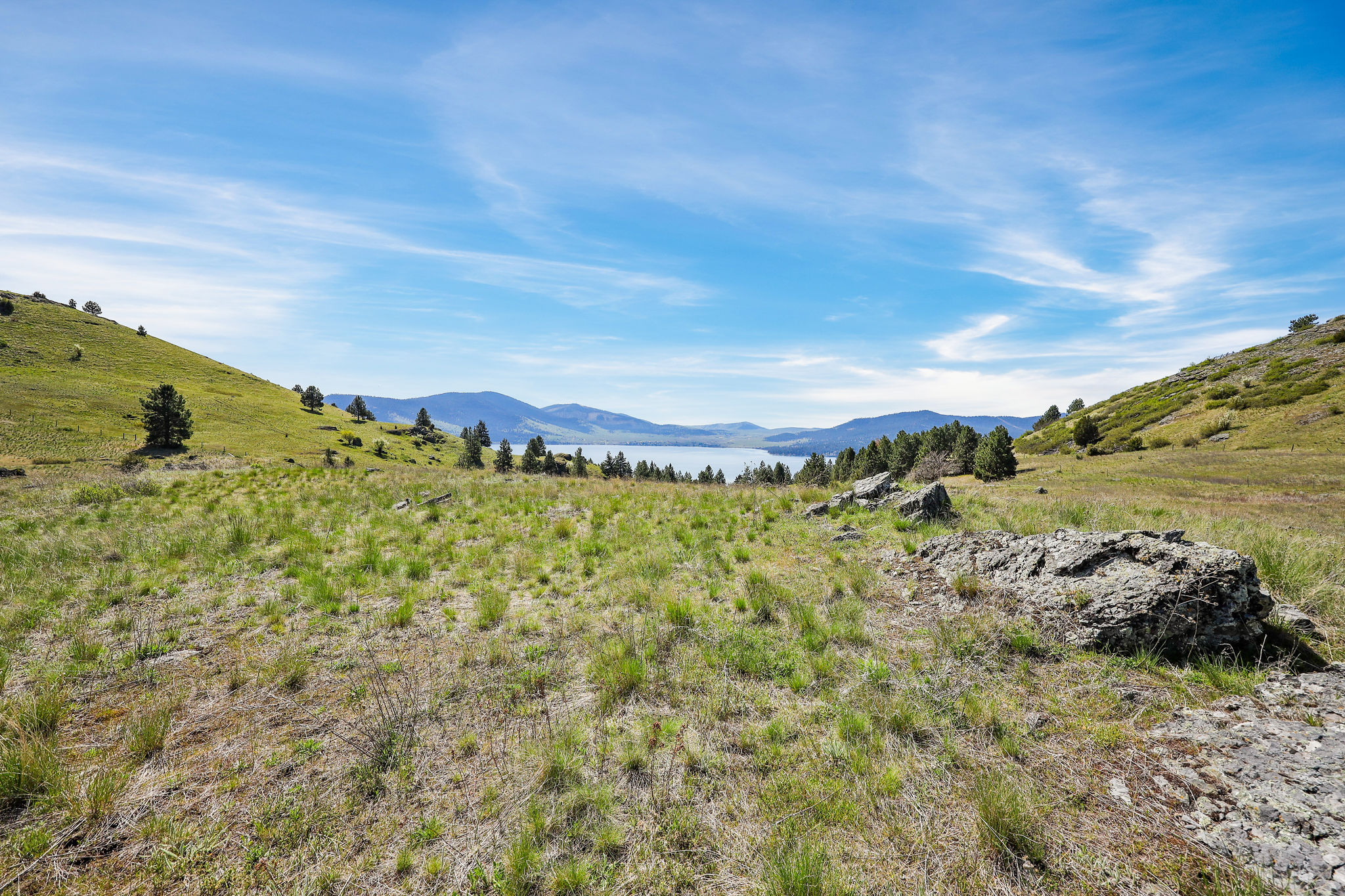 NHN Chief Cliff Lane