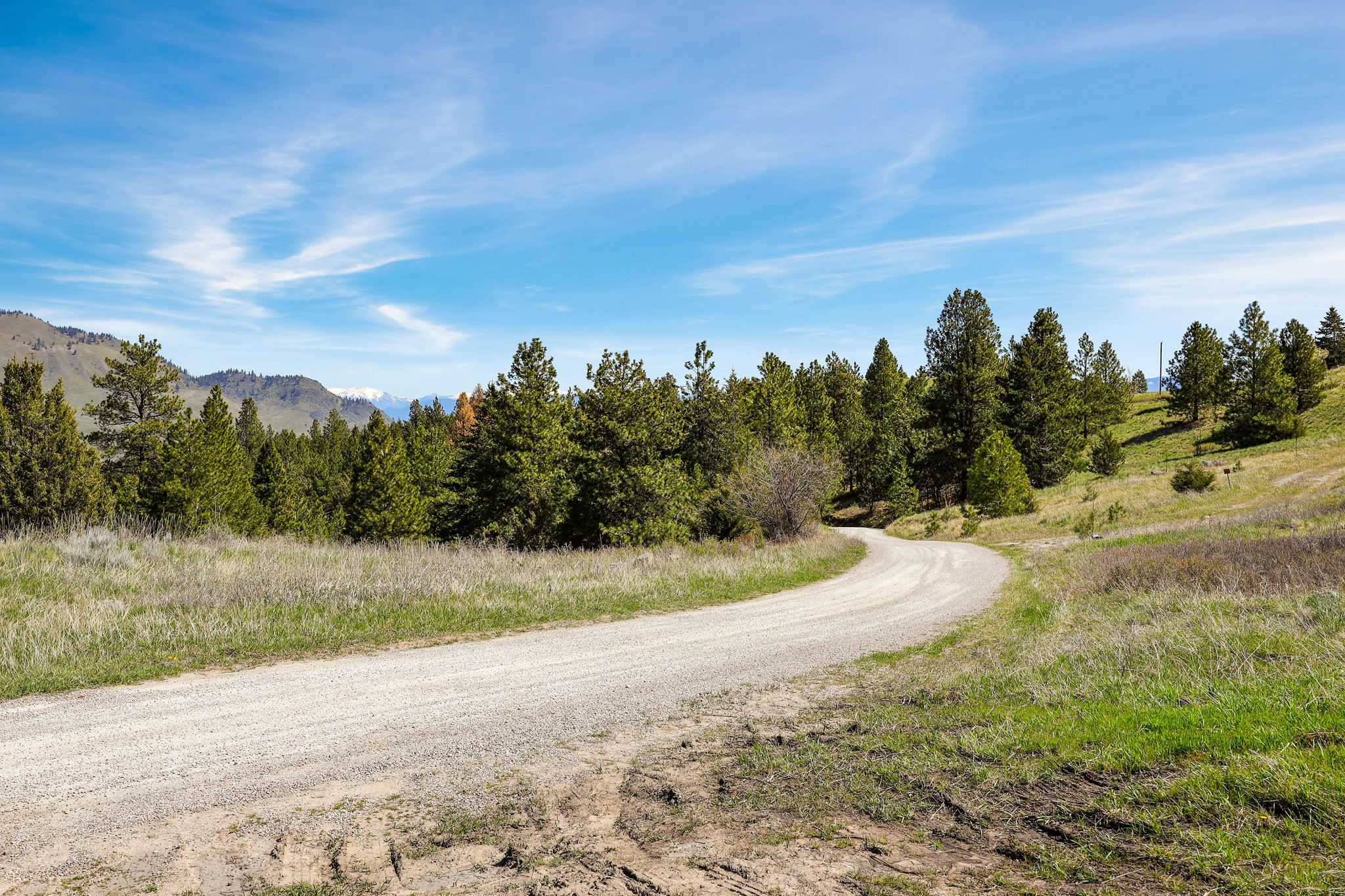 NHN Chief Cliff Lane