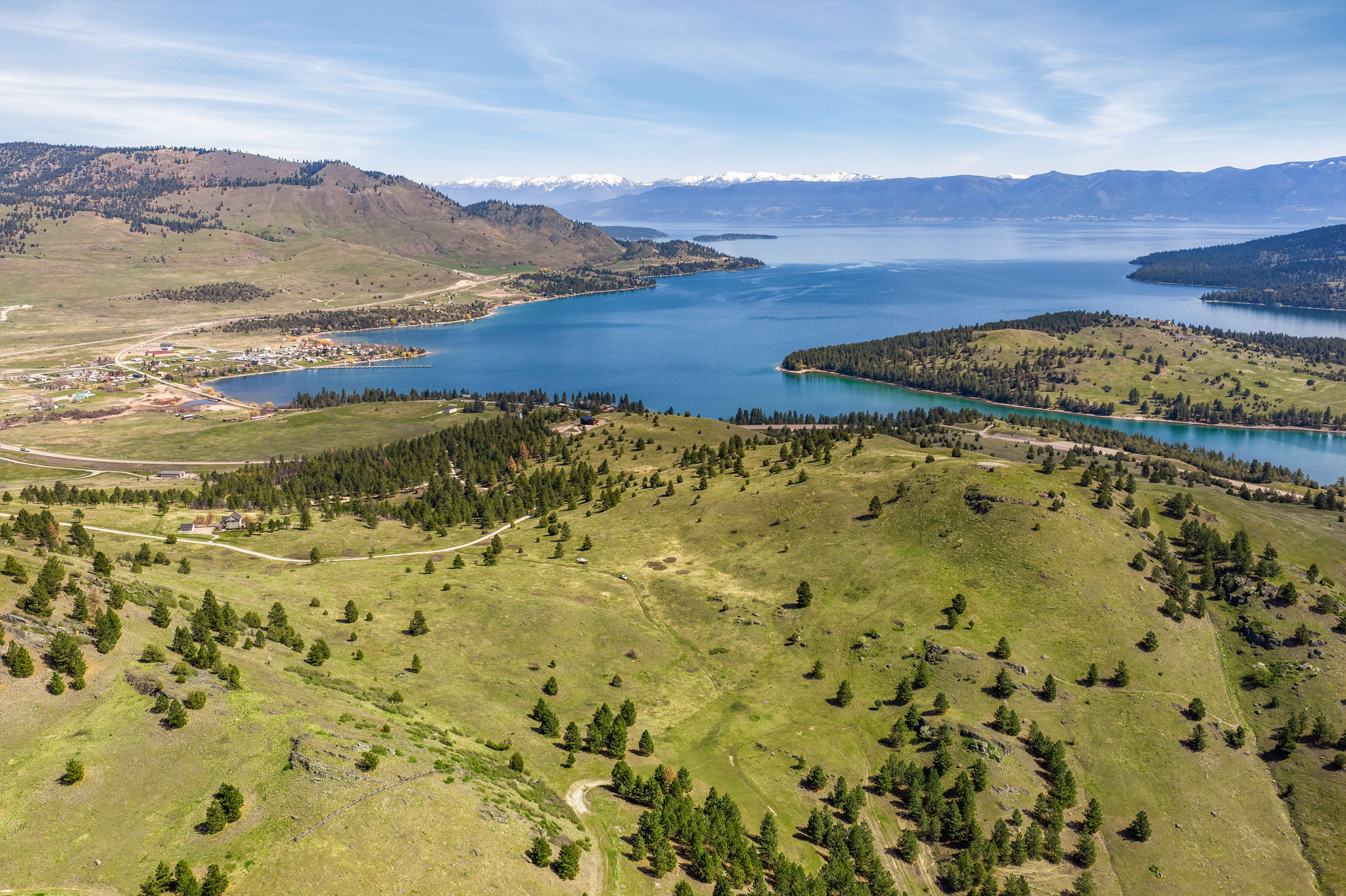 NHN Chief Cliff Lane