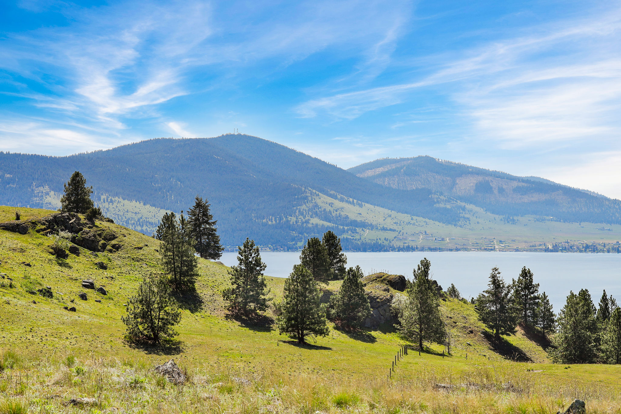 NHN Chief Cliff Lane