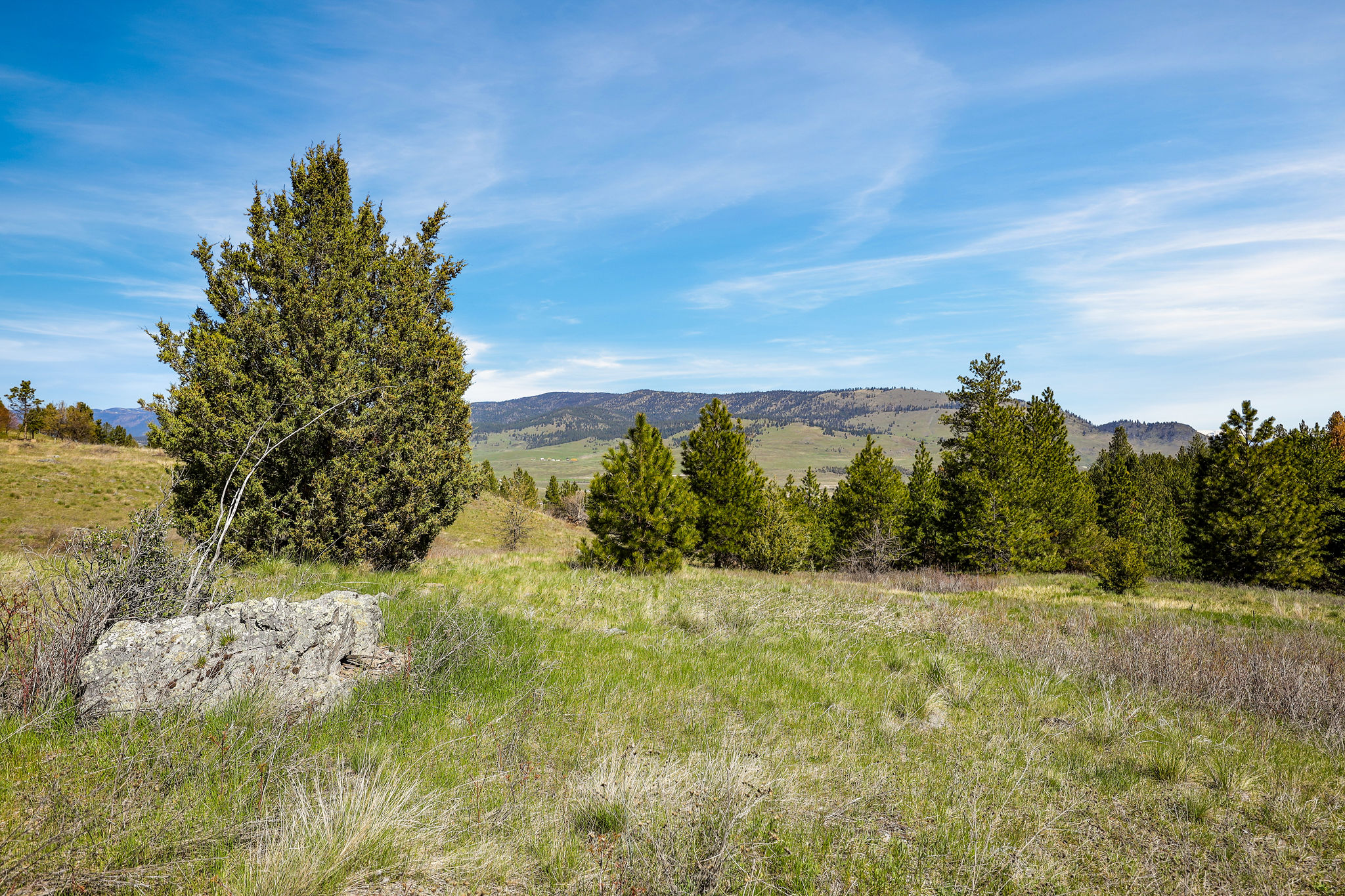 NHN Chief Cliff Lane