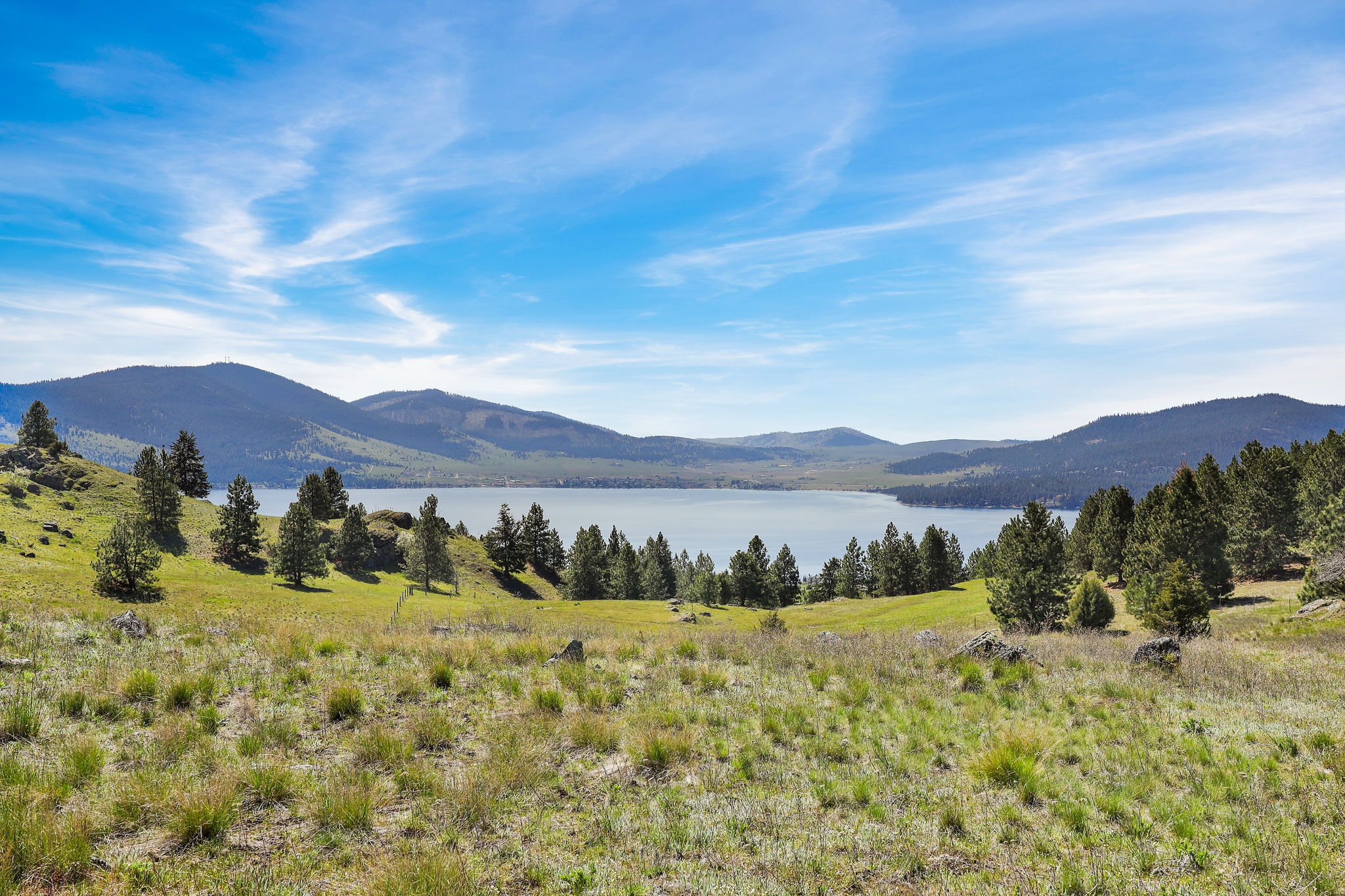 NHN Chief Cliff Lane