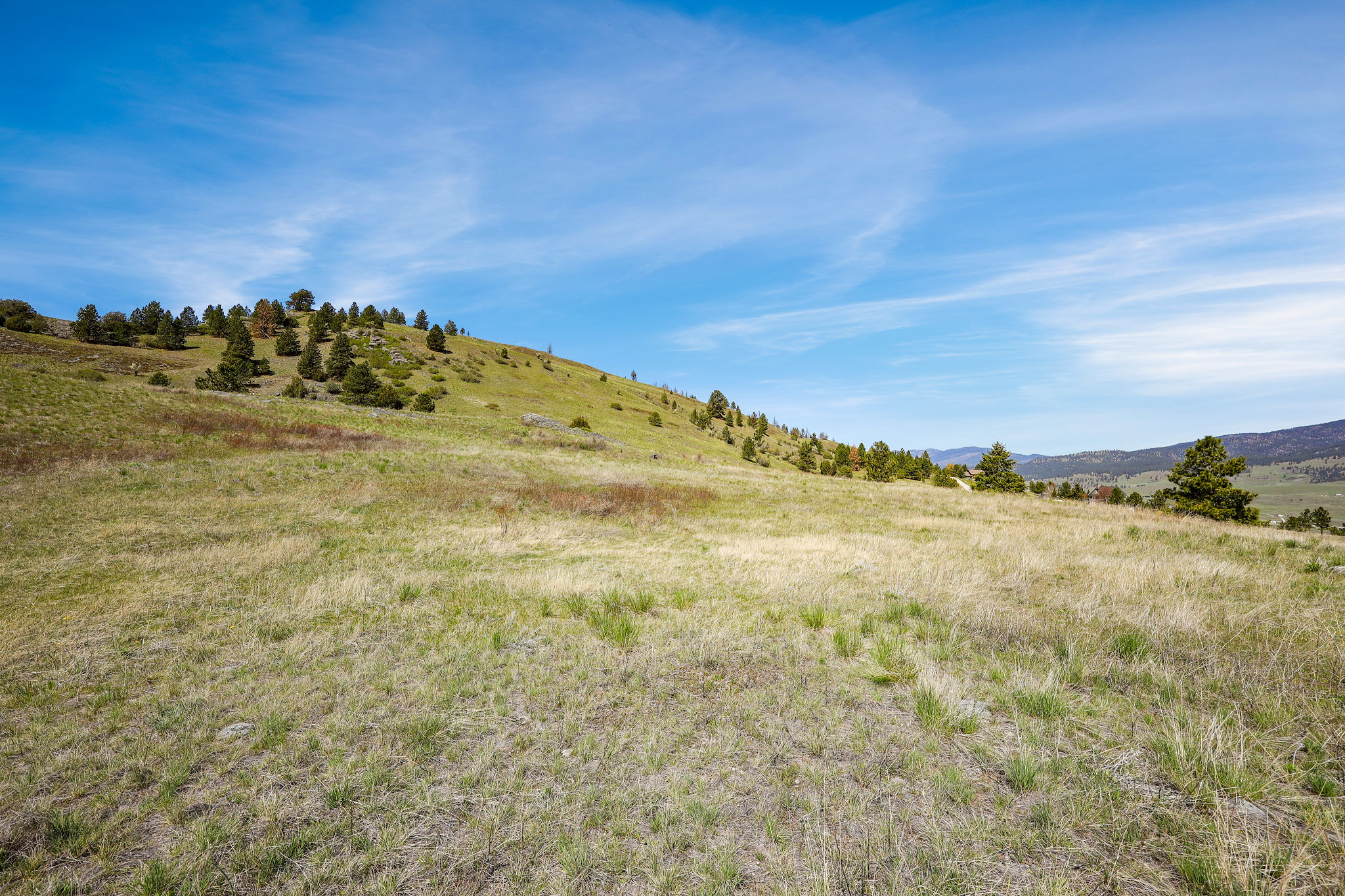NHN Chief Cliff Lane