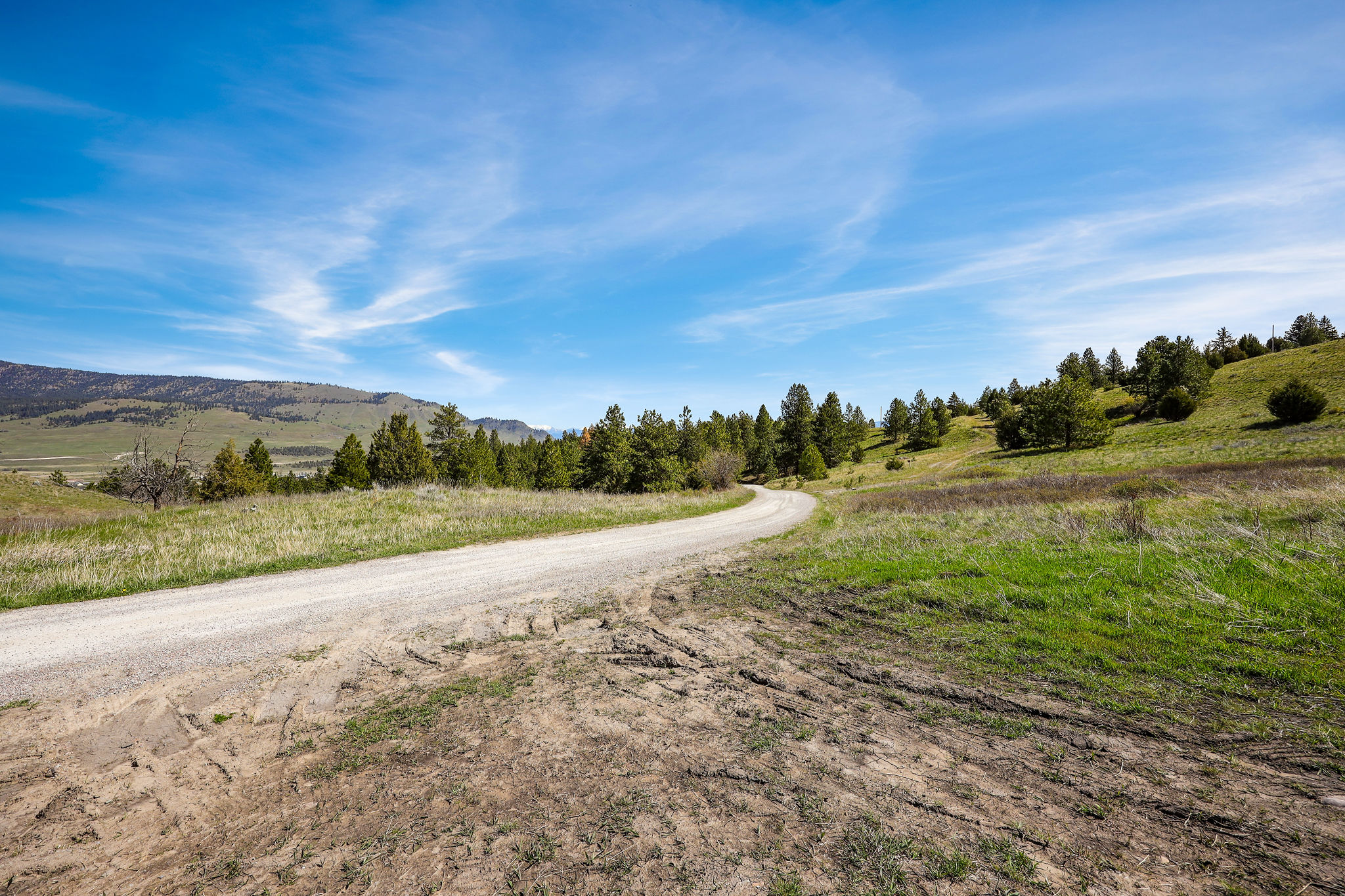 NHN Chief Cliff Lane