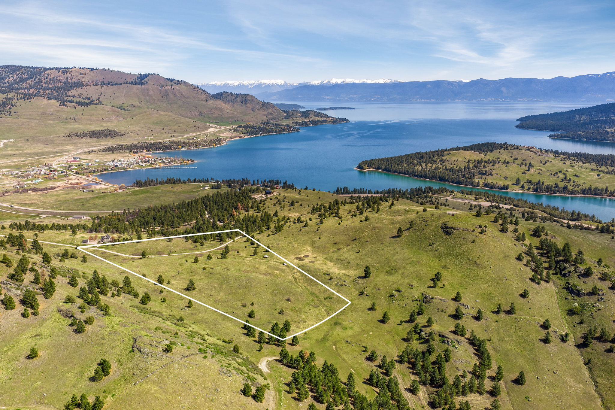 NHN Chief Cliff Lane