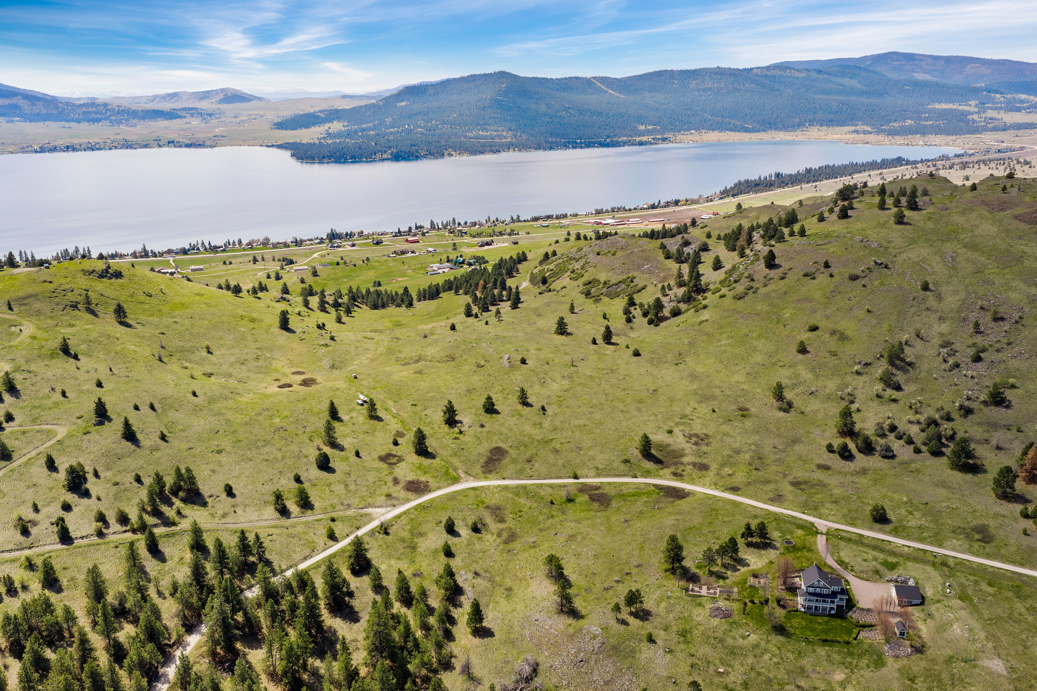 NHN Chief Cliff Lane