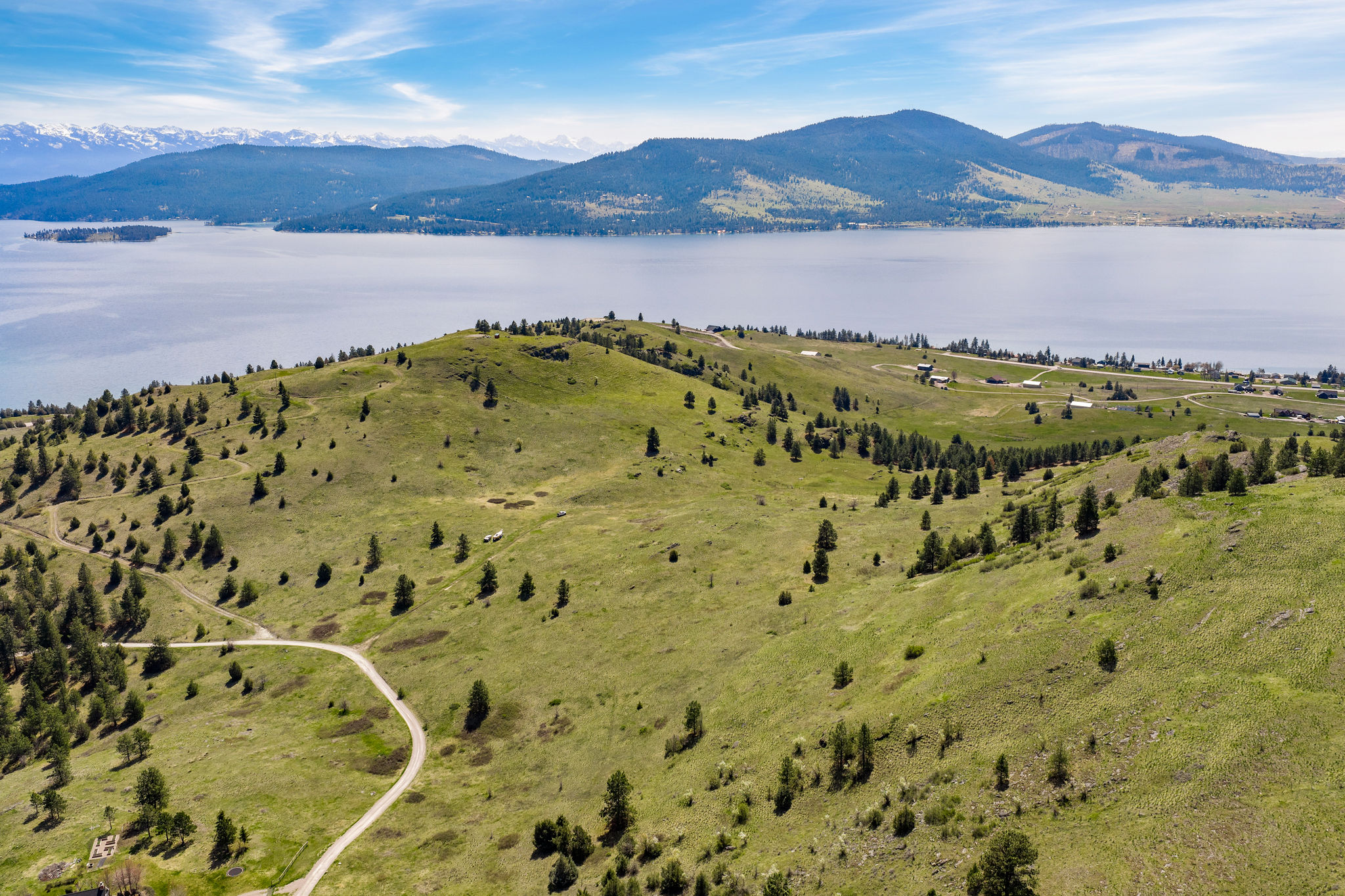 NHN Chief Cliff Lane