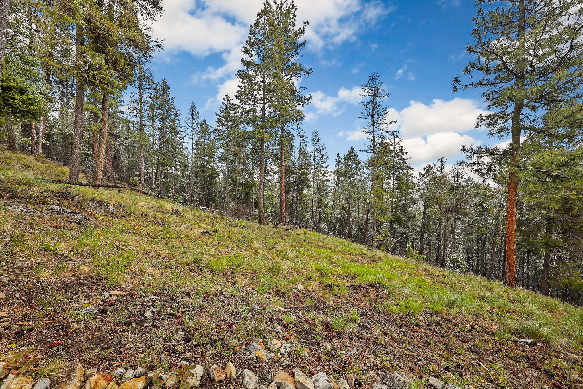 1277 Bierney Creek Road