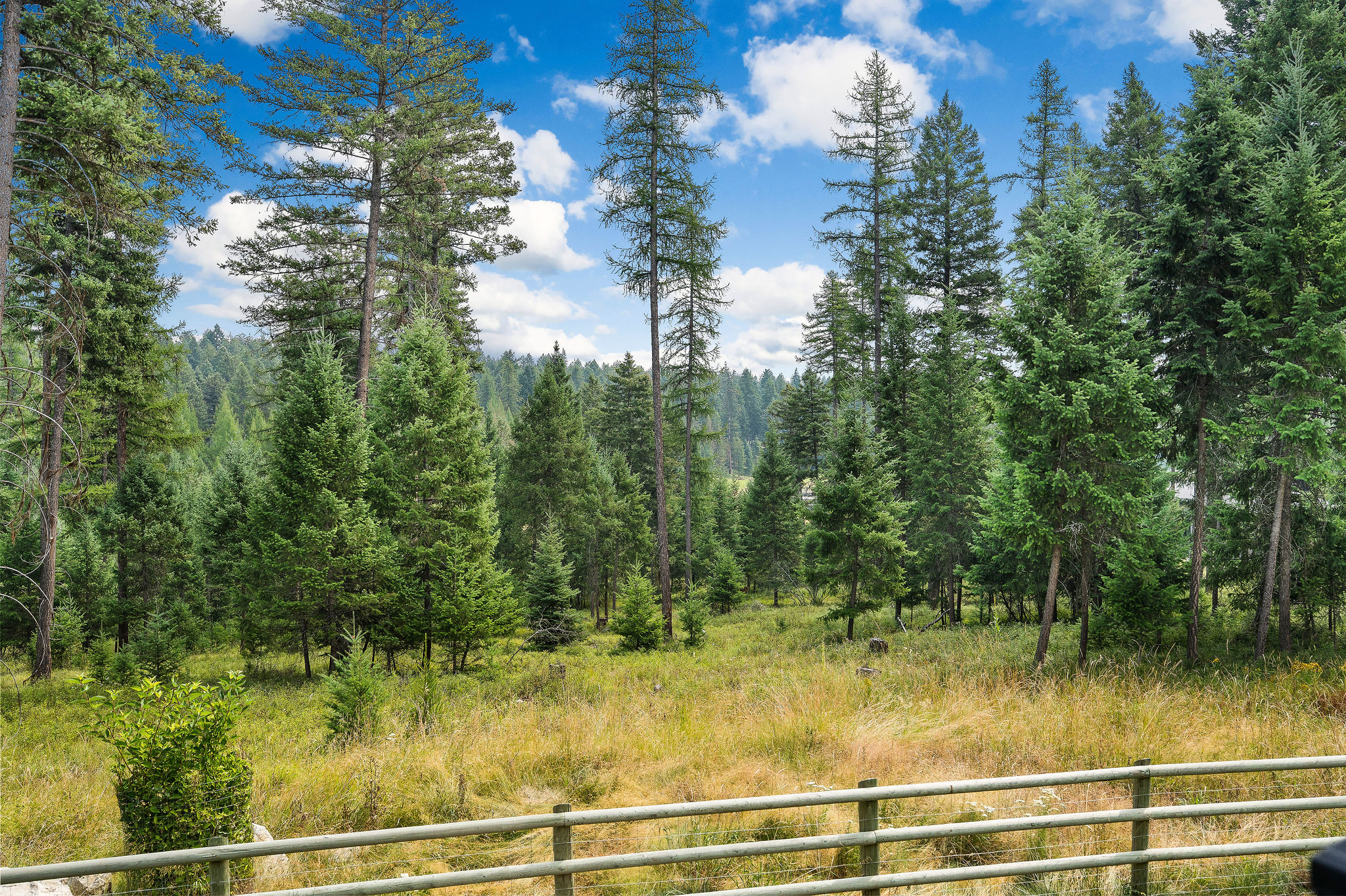 1157 Whitefish Village Drive
