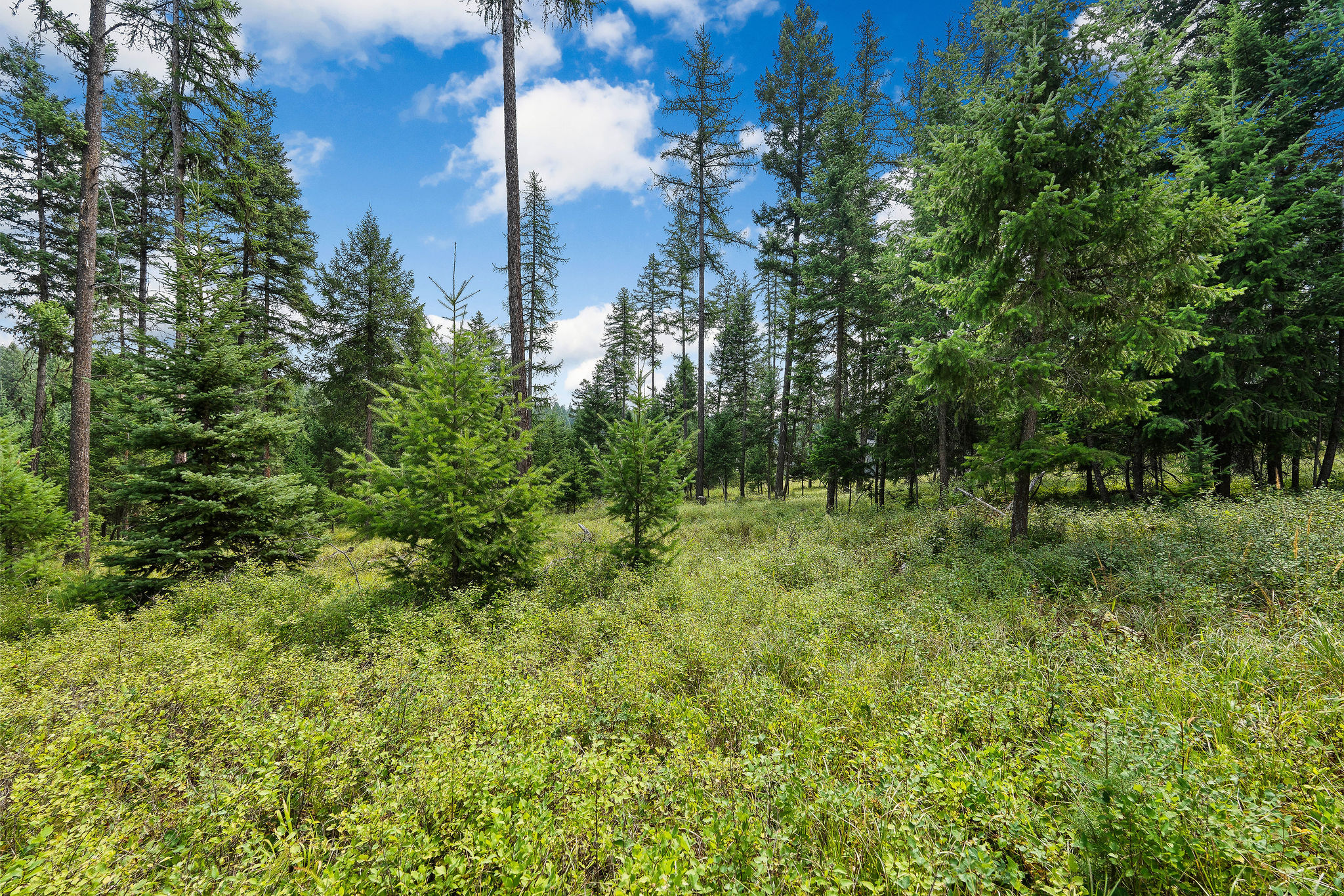 1157 Whitefish Village Drive