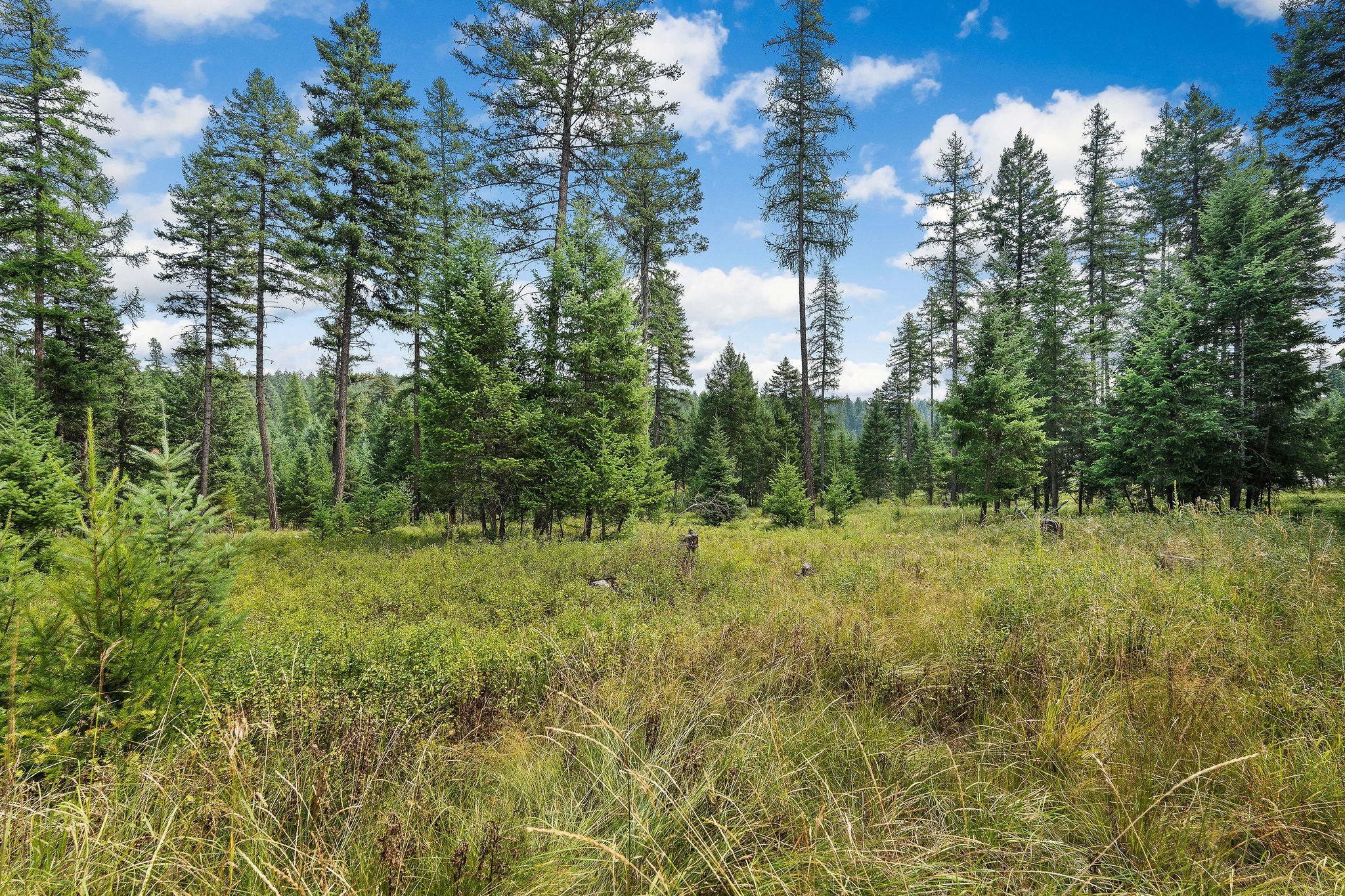 1157 Whitefish Village Drive