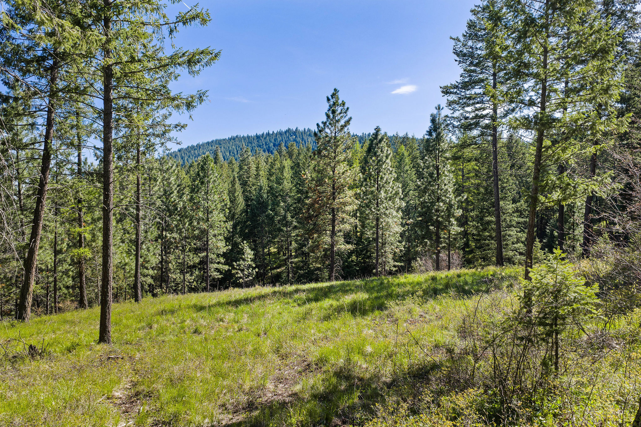285 Lutheran Camp Road