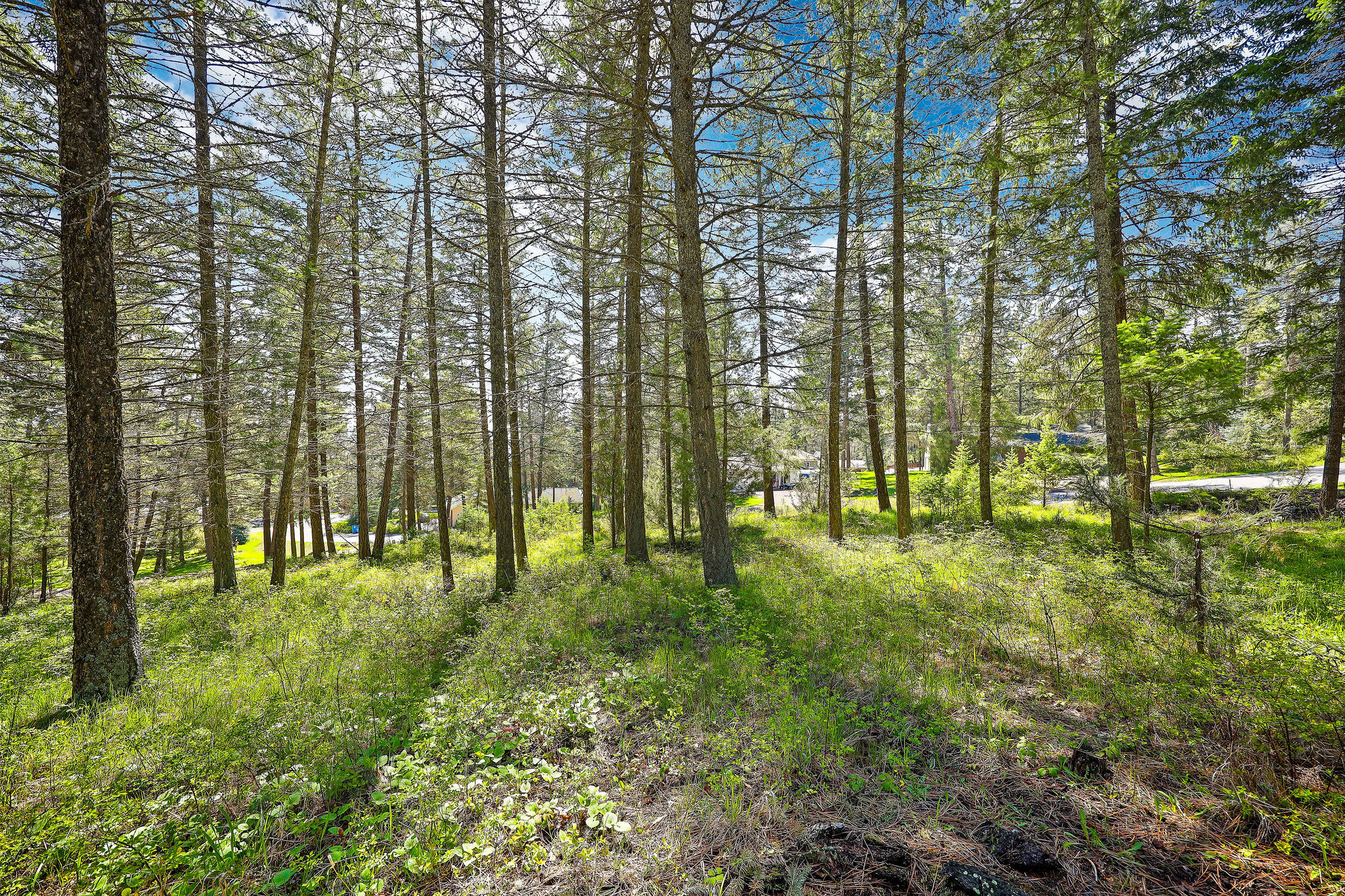 267 Lakeview Drive