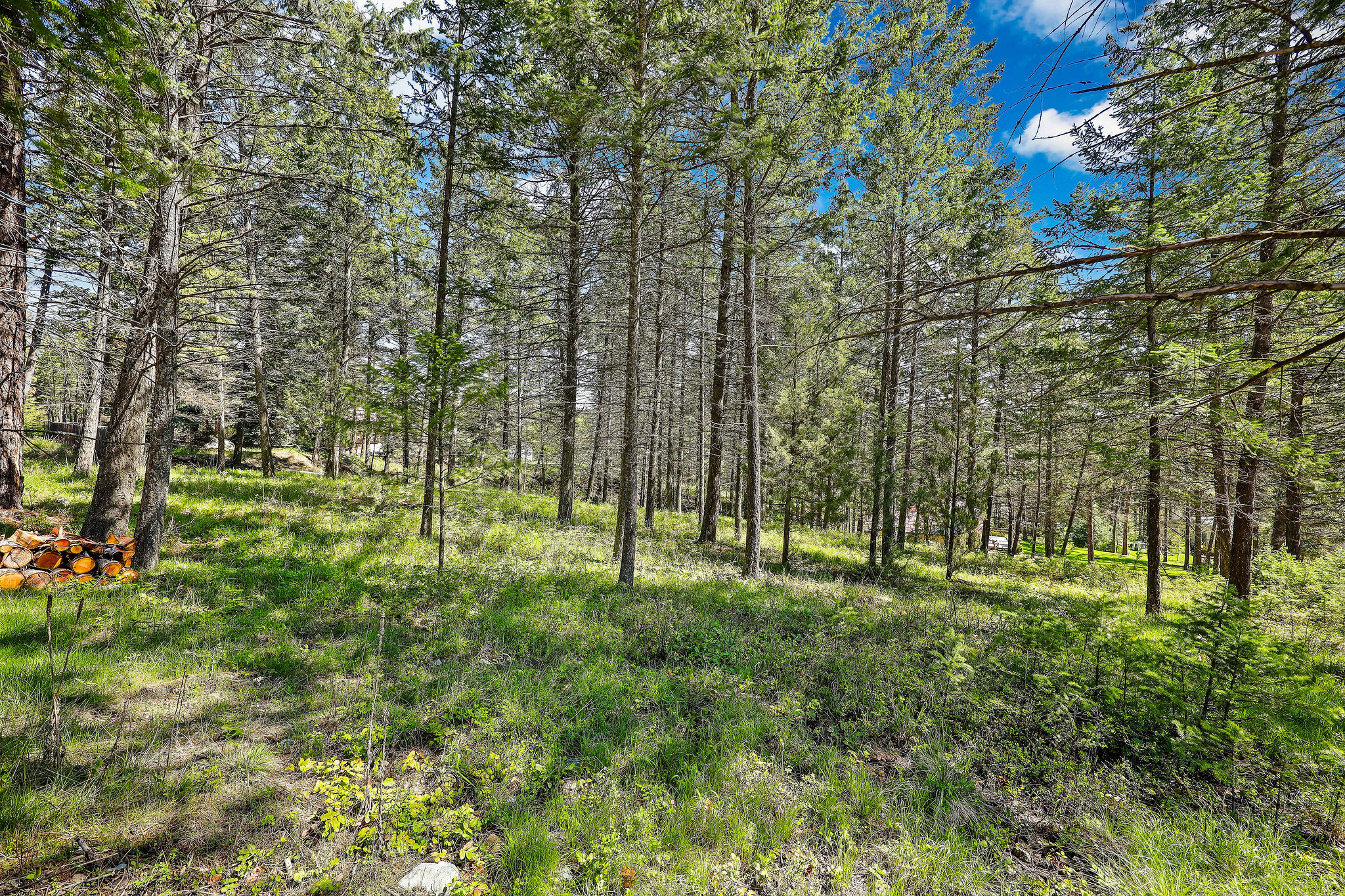 267 Lakeview Drive