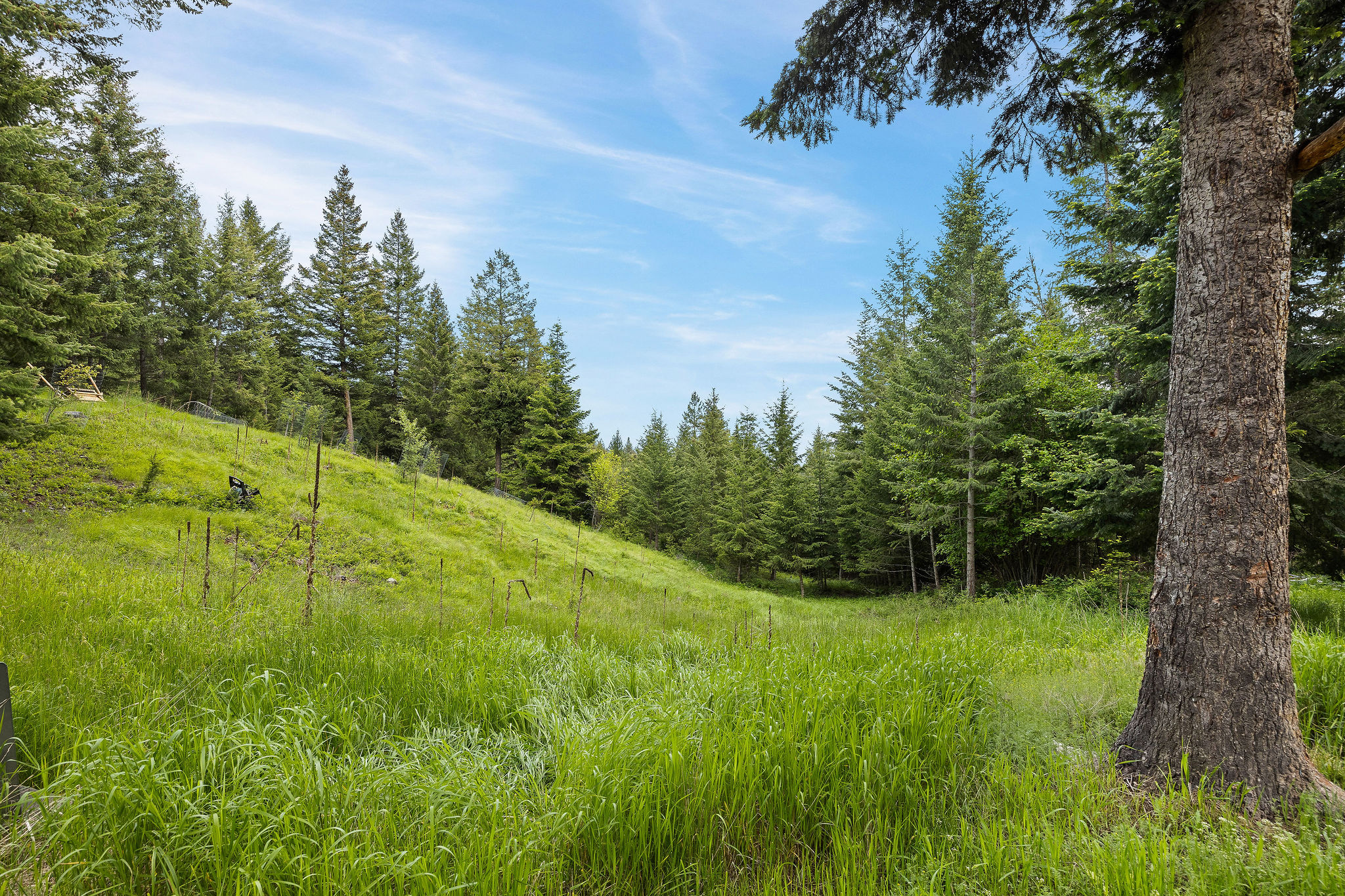 1424 Bierney Creek Road