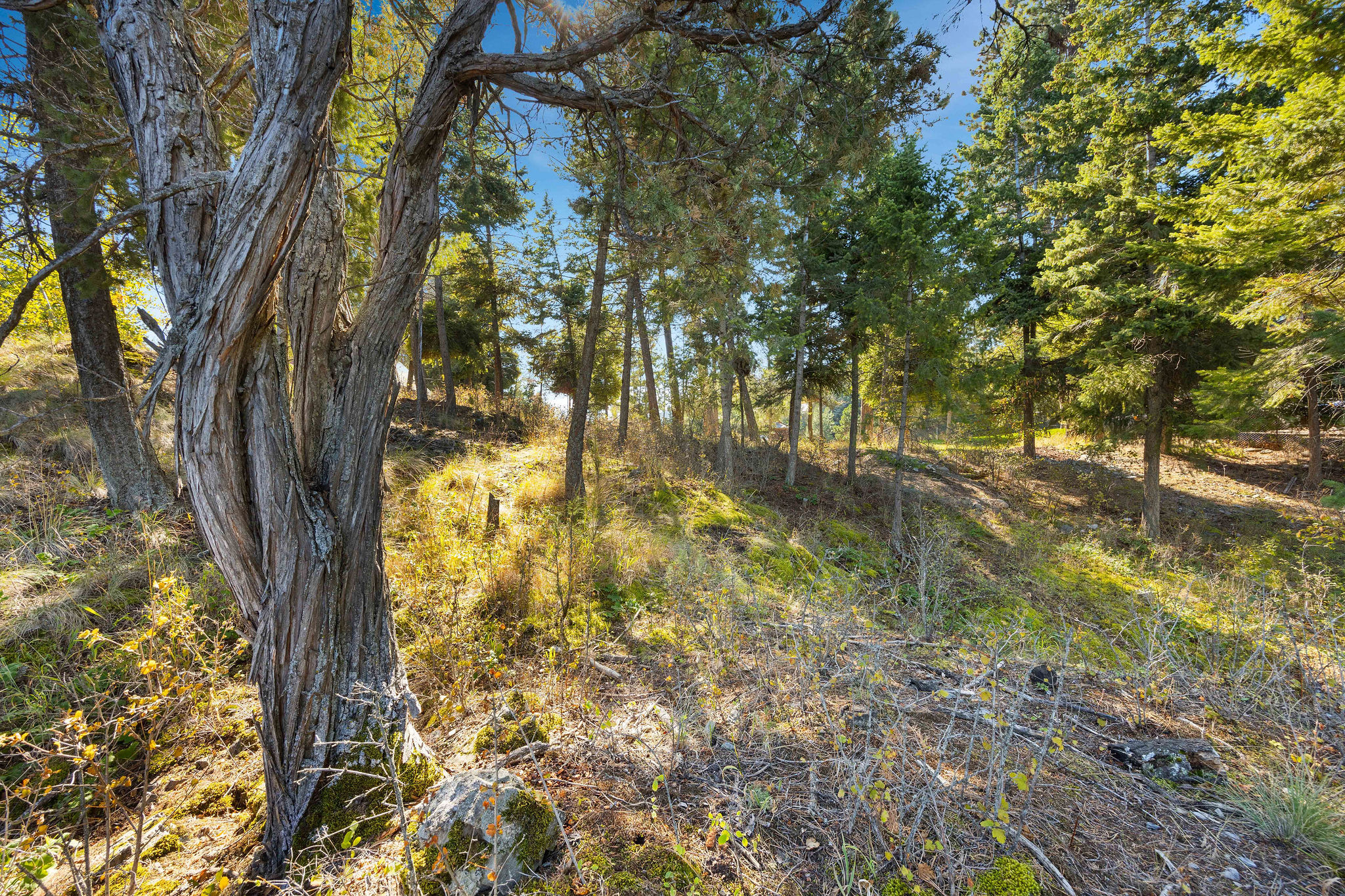 1017 Angel Point Road