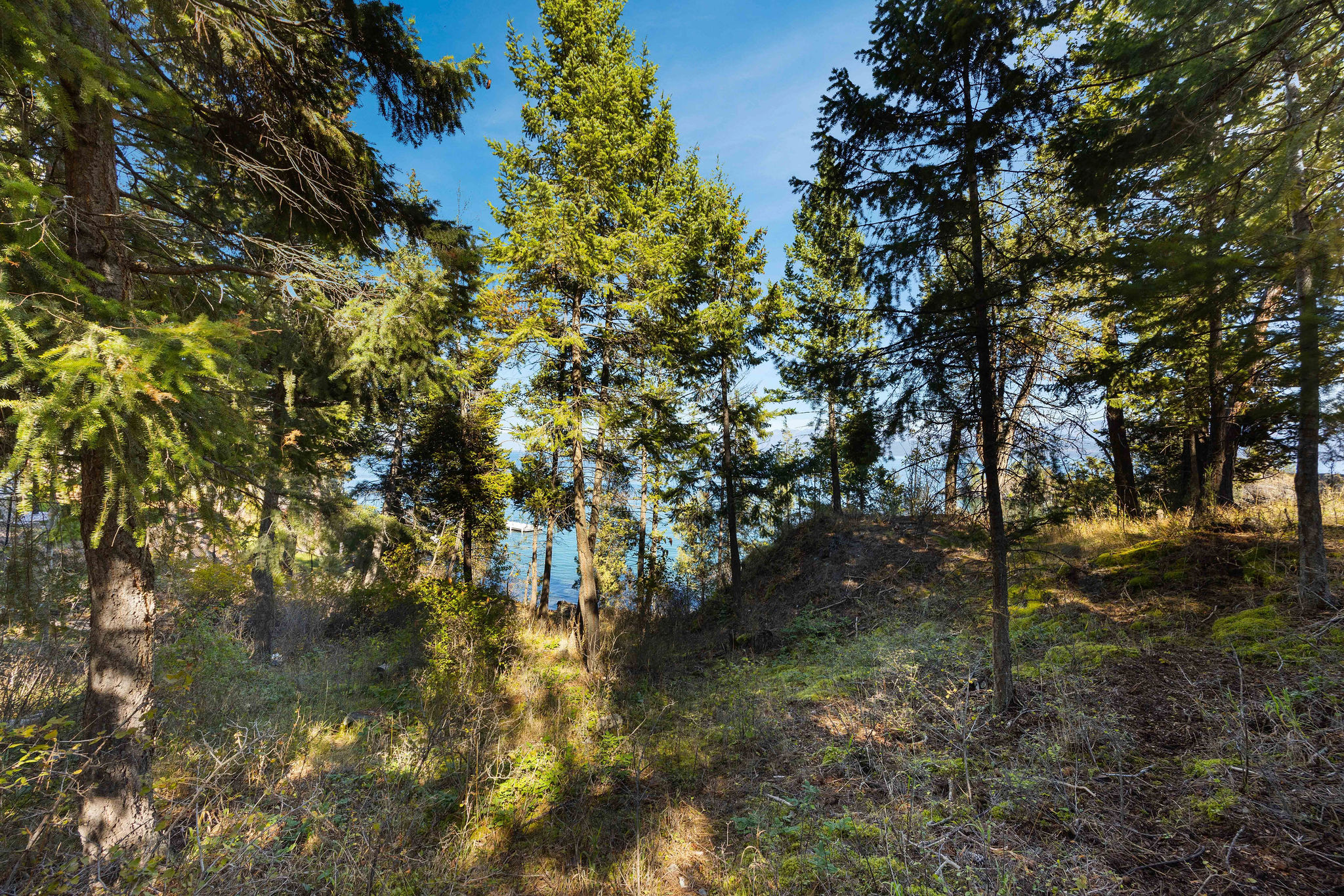 1017 Angel Point Road
