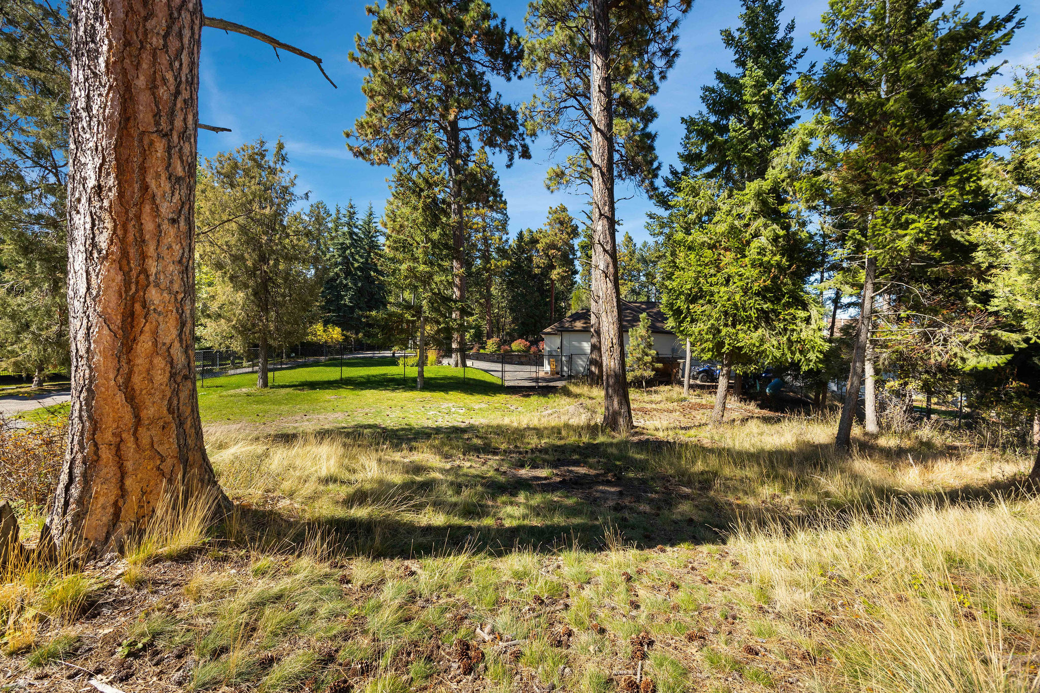 1017 Angel Point Road
