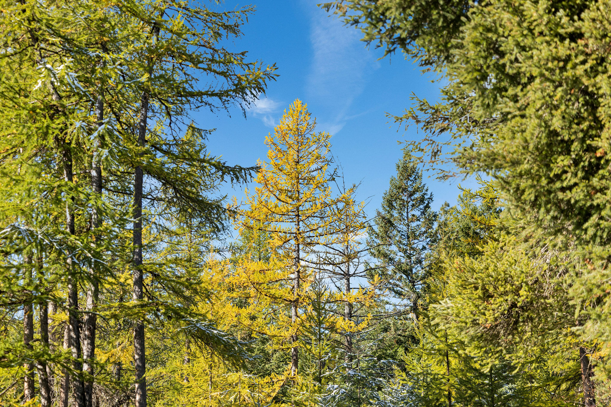 1428 Bierney Creek Road