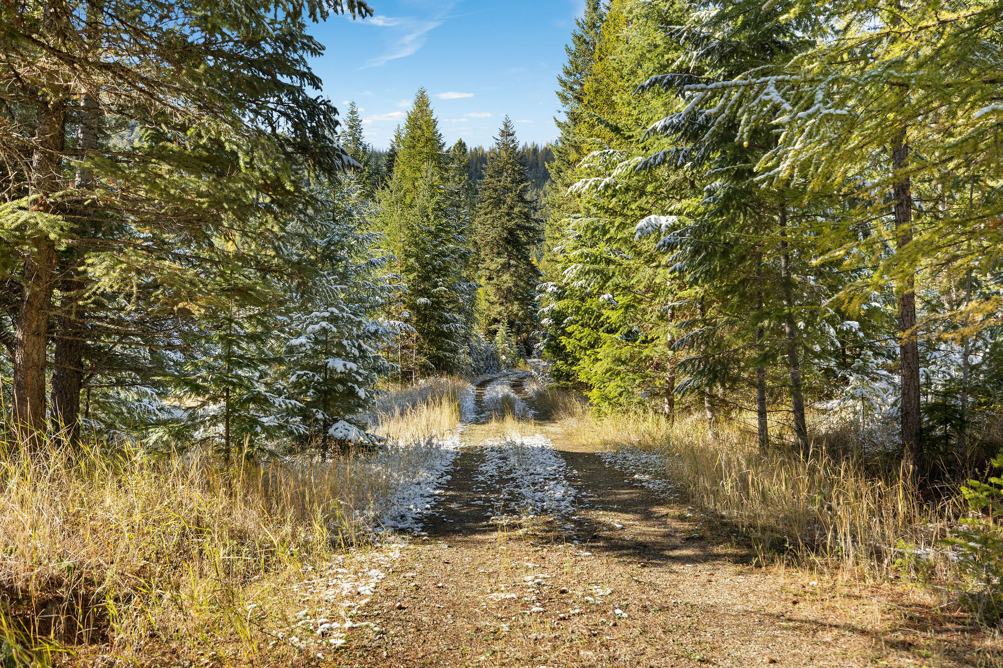 1428 Bierney Creek Road