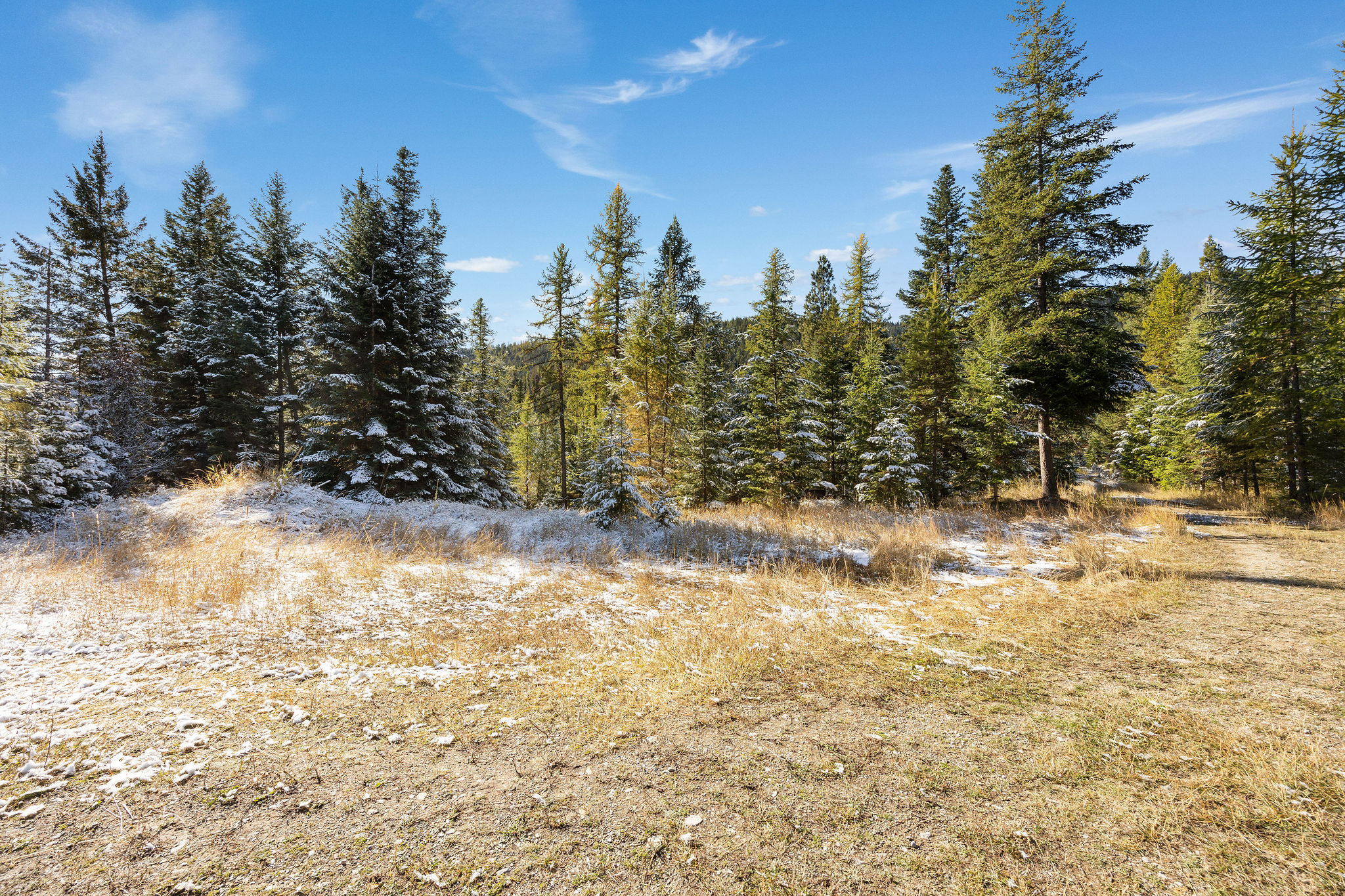 1428 Bierney Creek Road