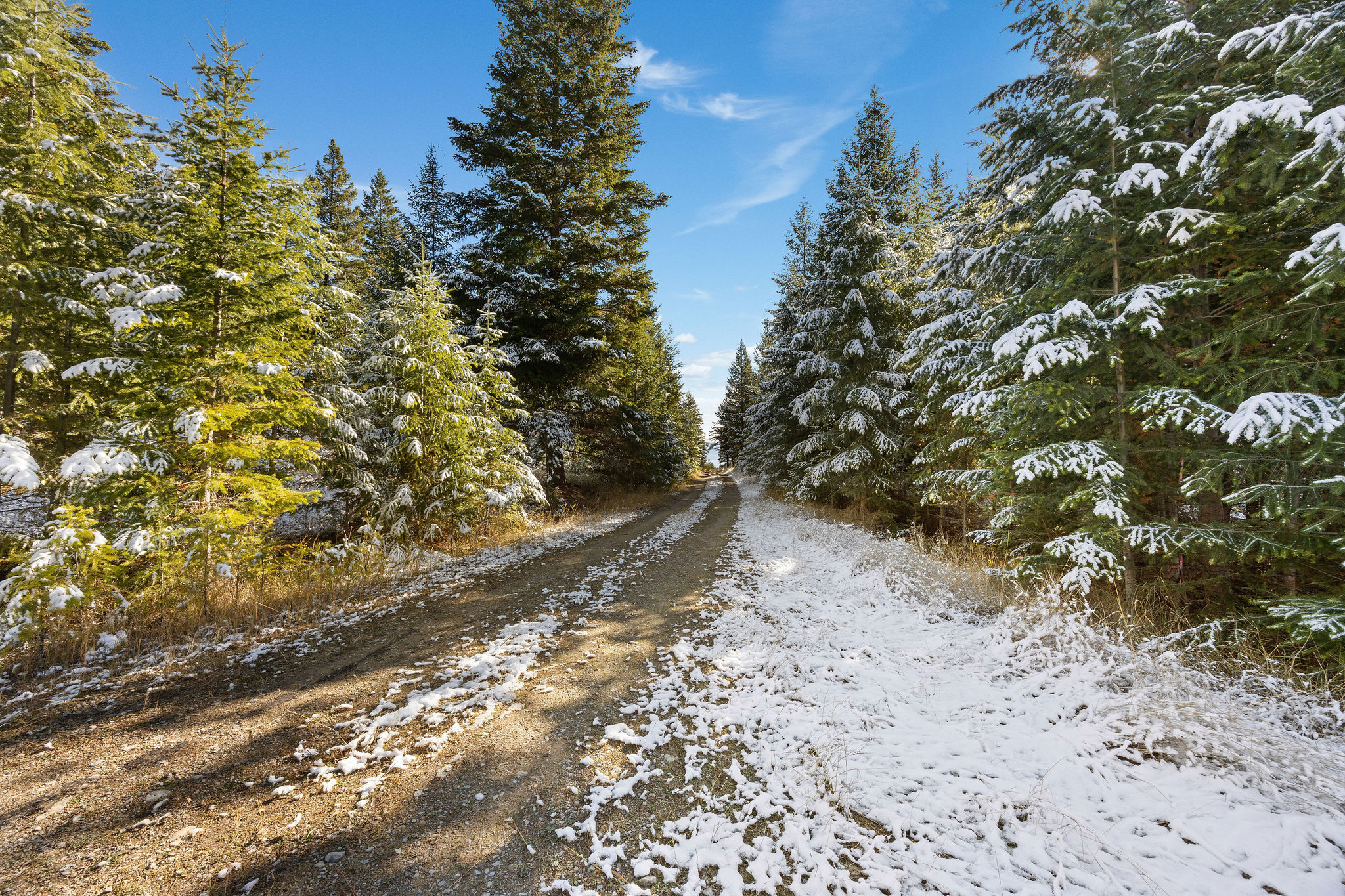 1428 Bierney Creek Road