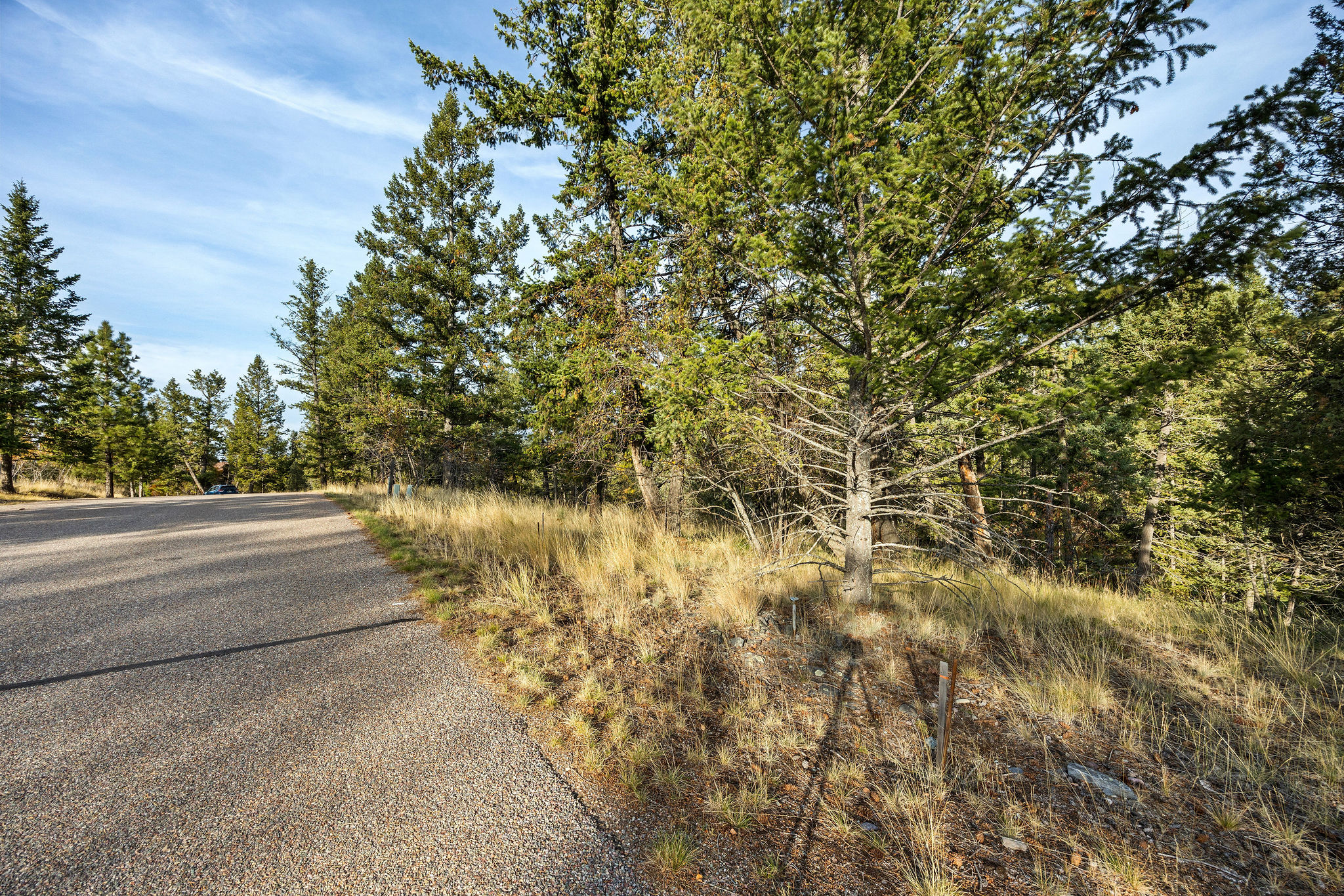147 Bjork Drive