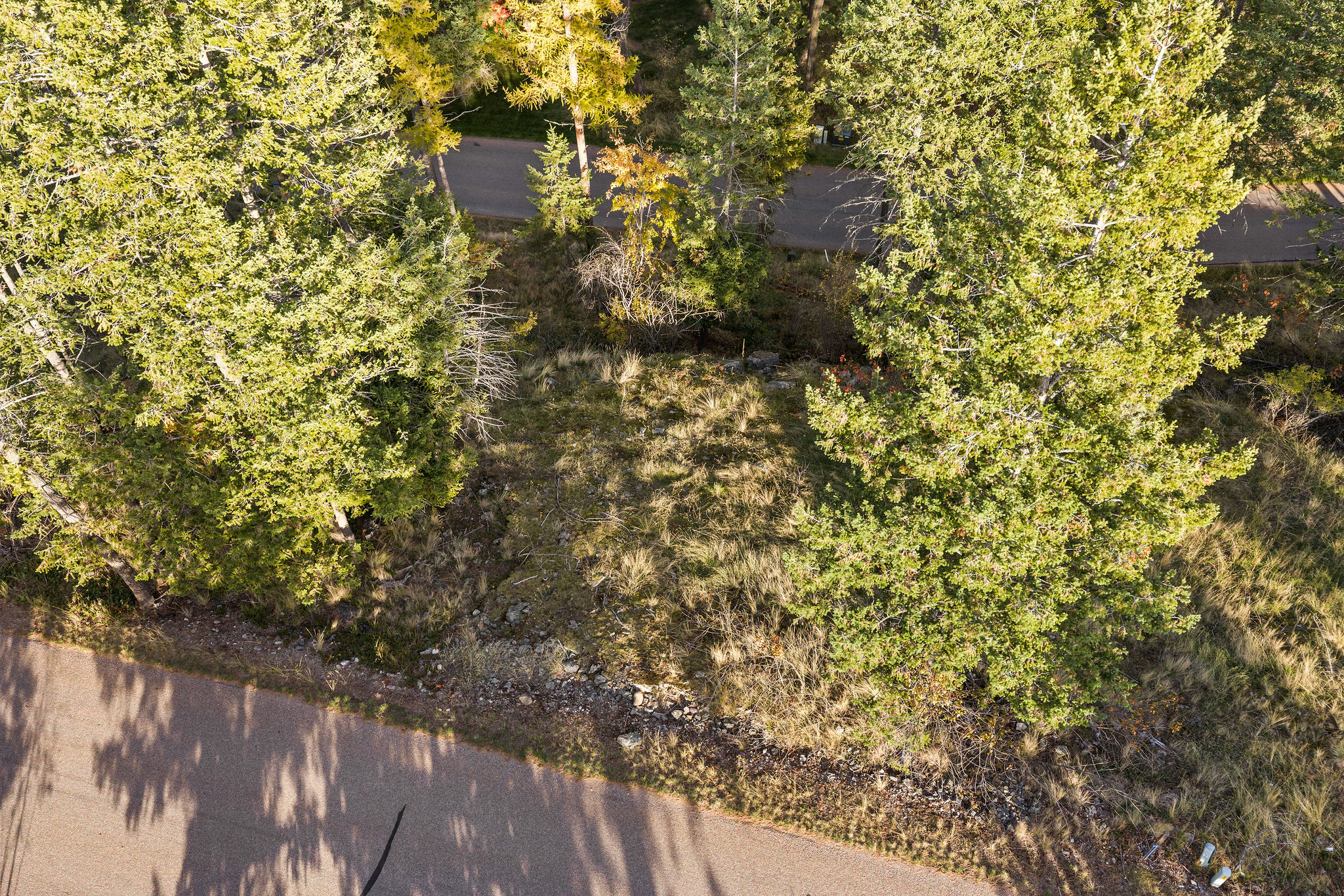 147 Bjork Drive