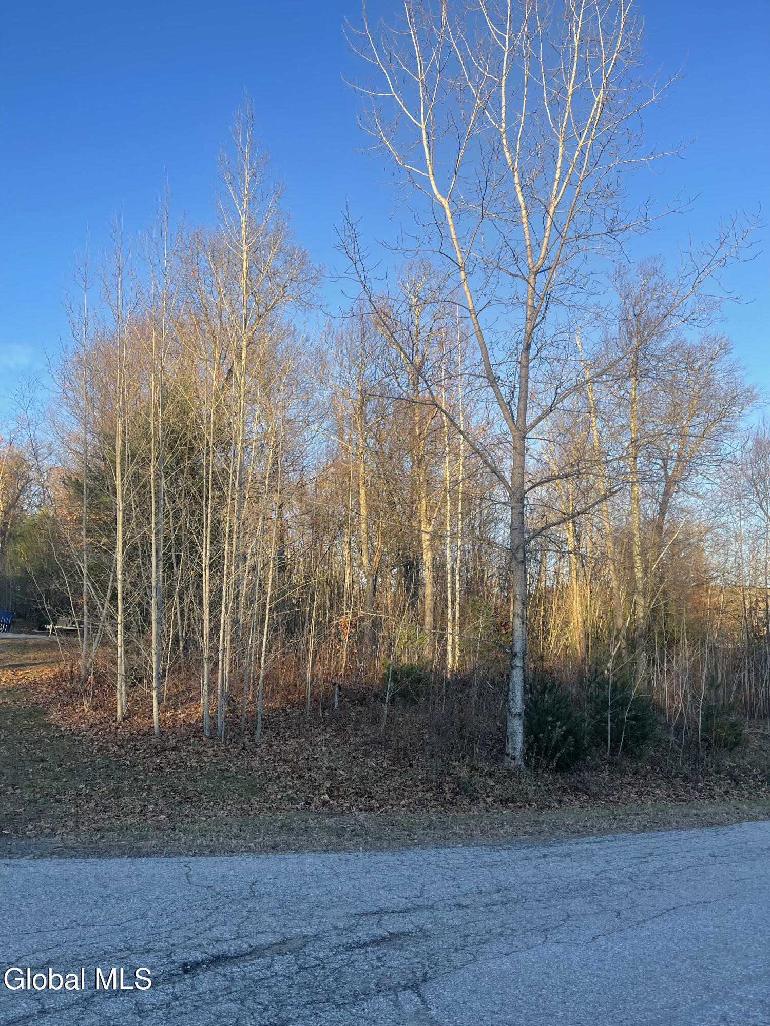 L10 Landon Drive