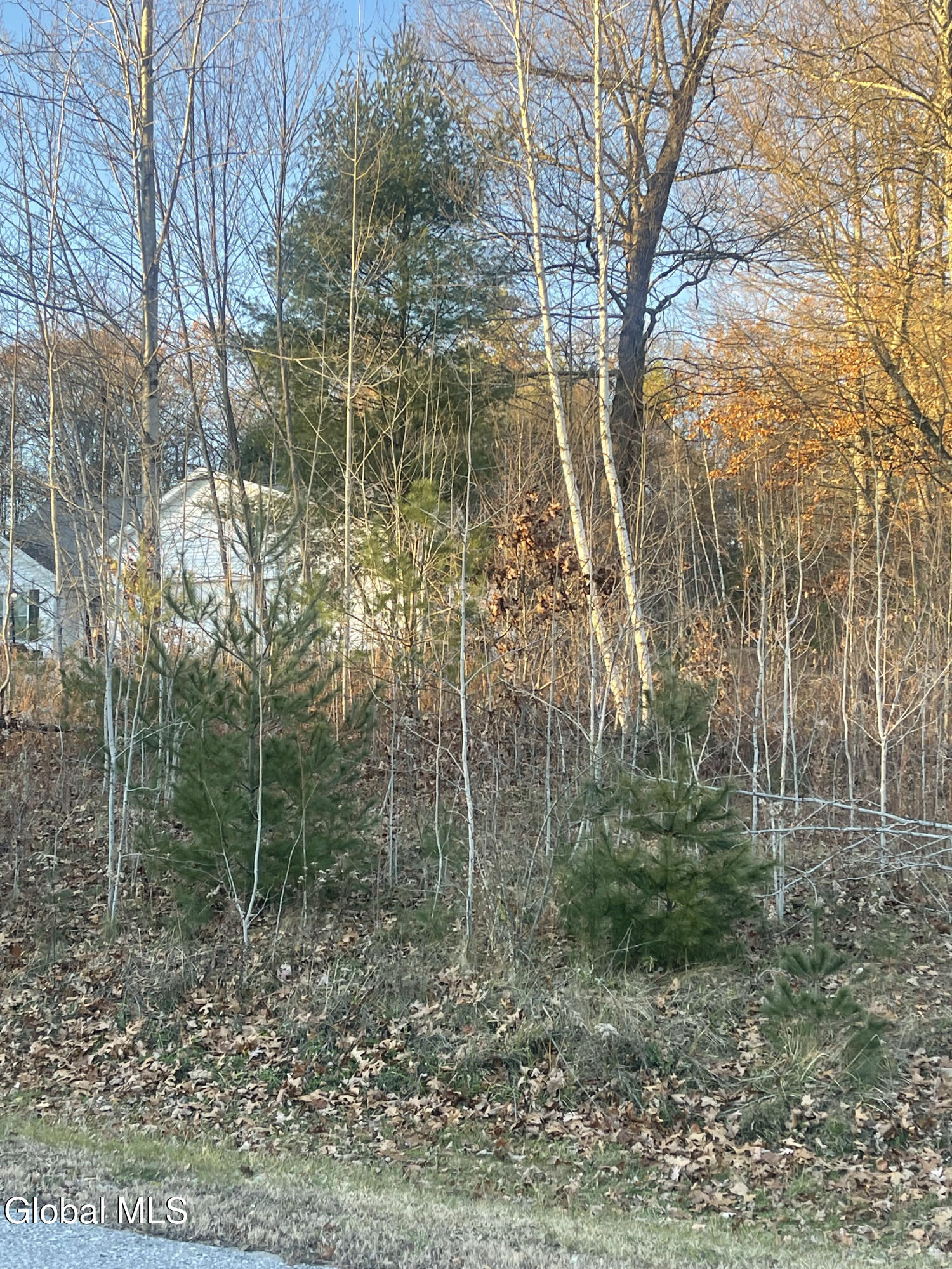 L10 Landon Drive