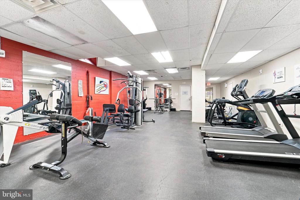 4625 PINE STREET Unit: F102