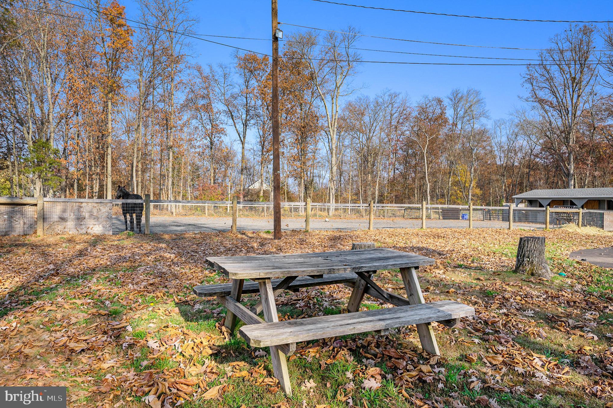561 Scott Rd