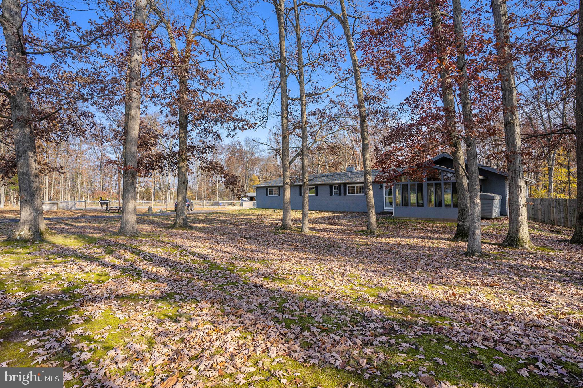 561 Scott Rd