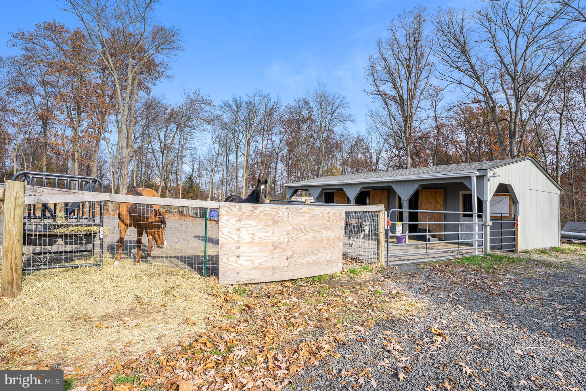 561 Scott Rd