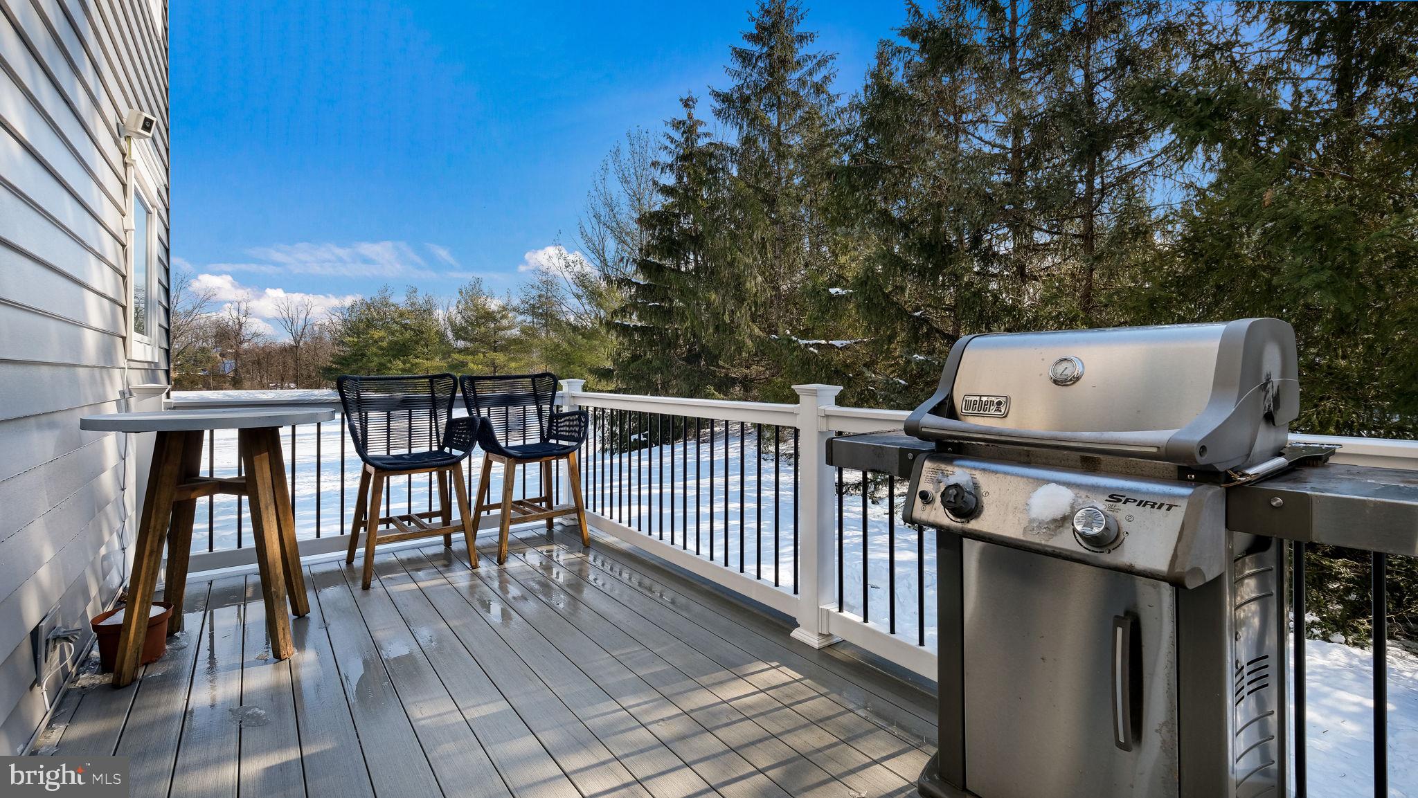 161 EQUESTRIAN DRIVE