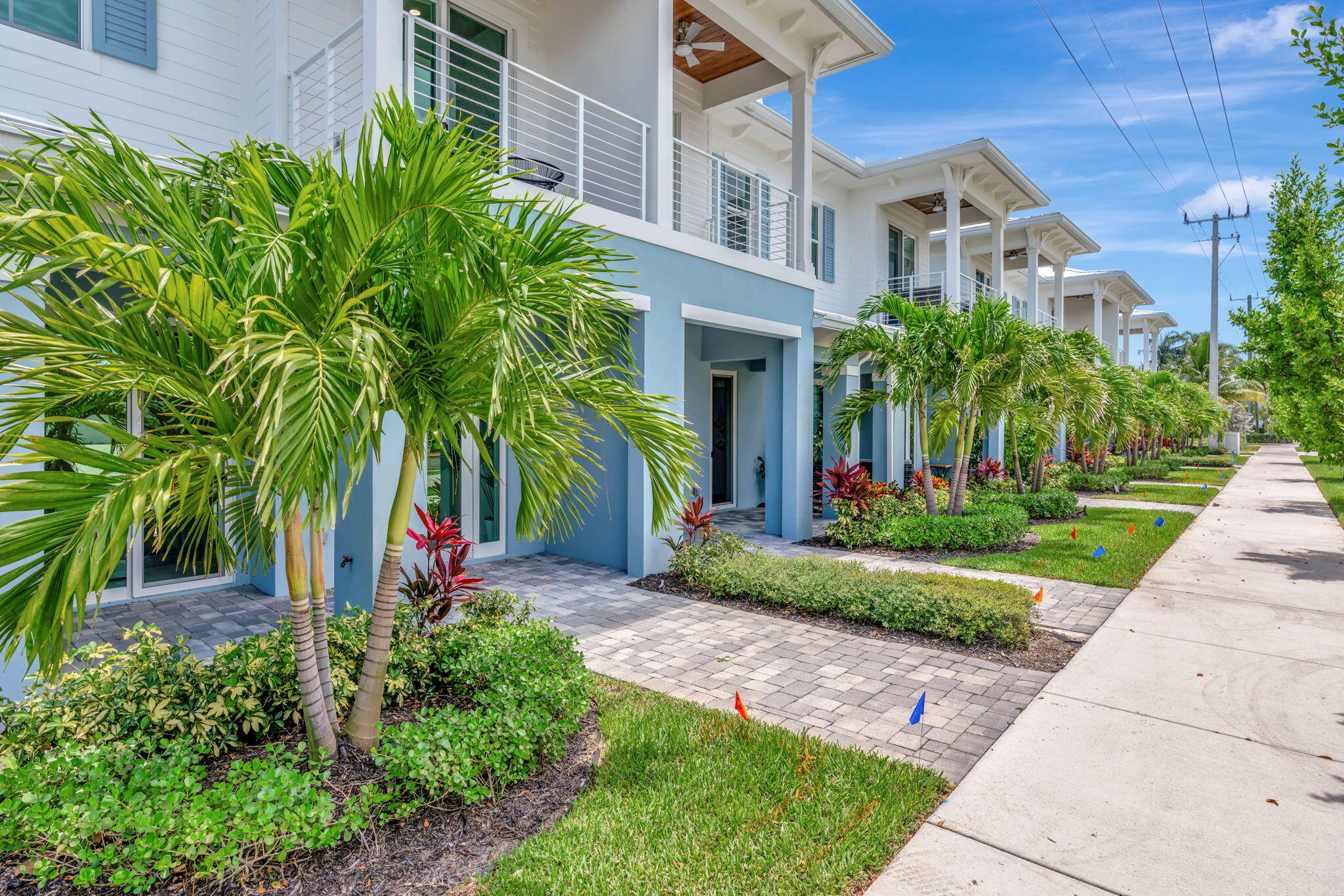 Modern blue-and-white townhomes with covered entries, balconies, and palm-lined walkways.