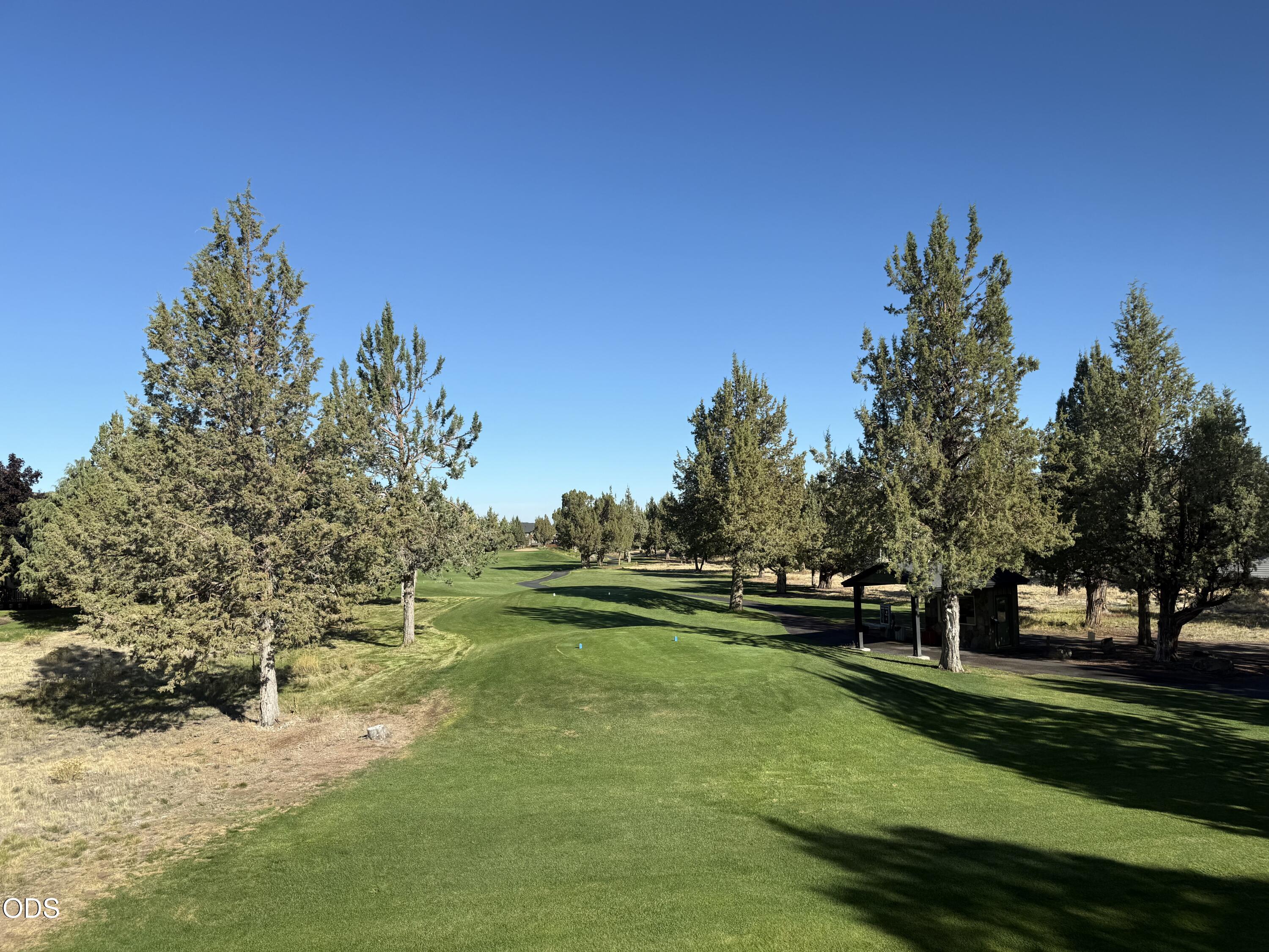 1140 Golden Pheasant Drive