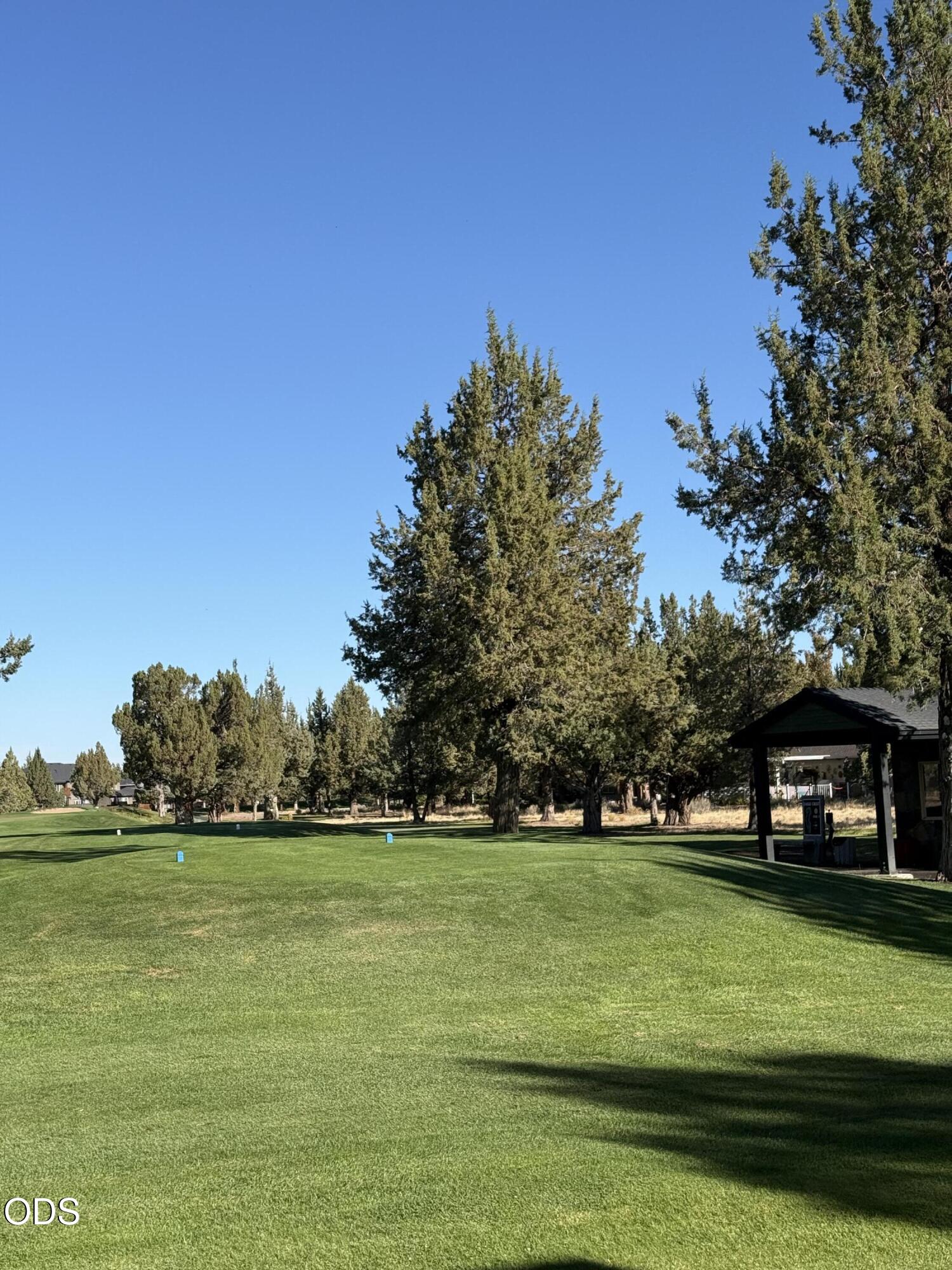 1140 Golden Pheasant Drive