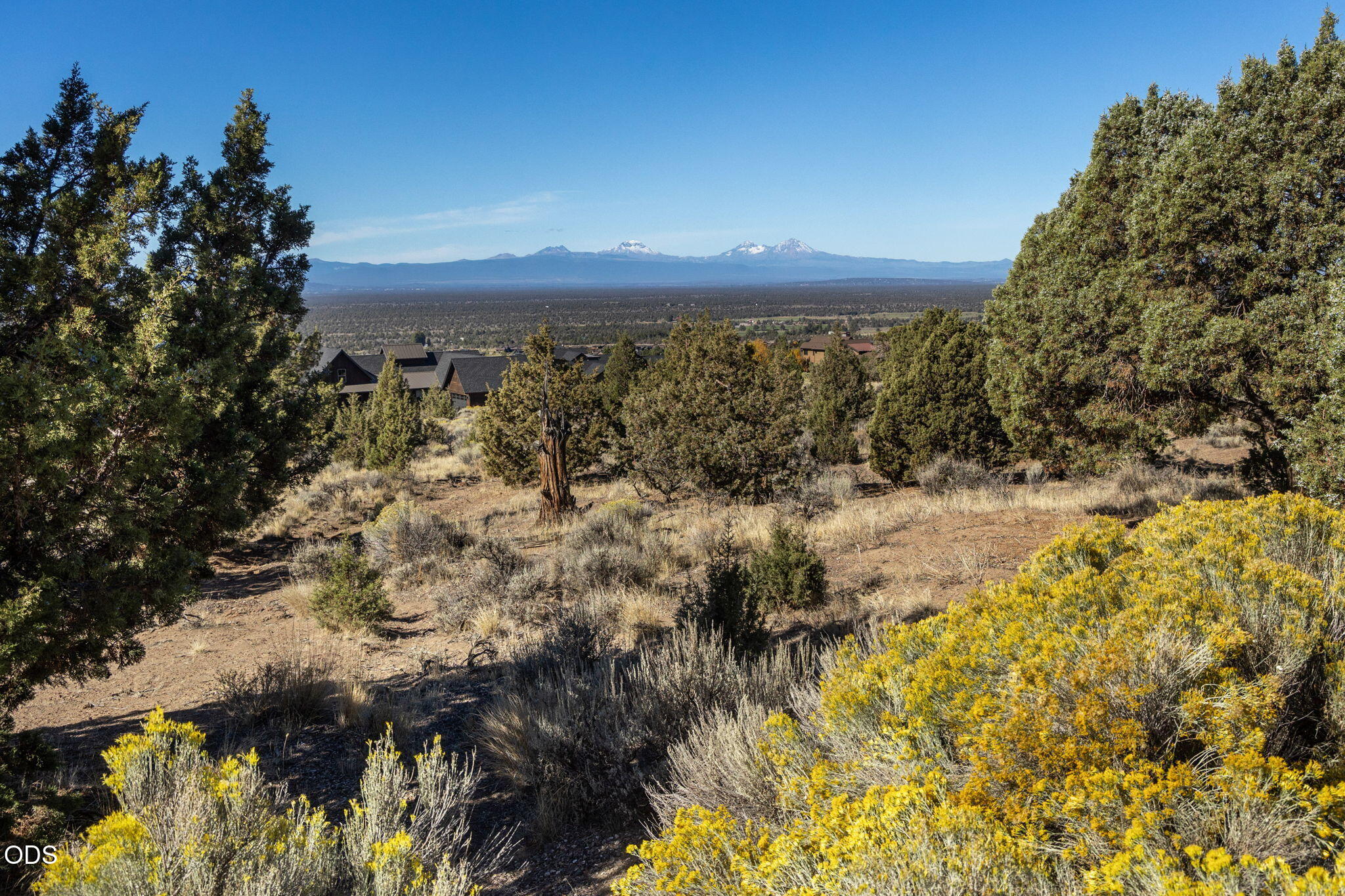 15673 SW Hope Vista Drive, 568