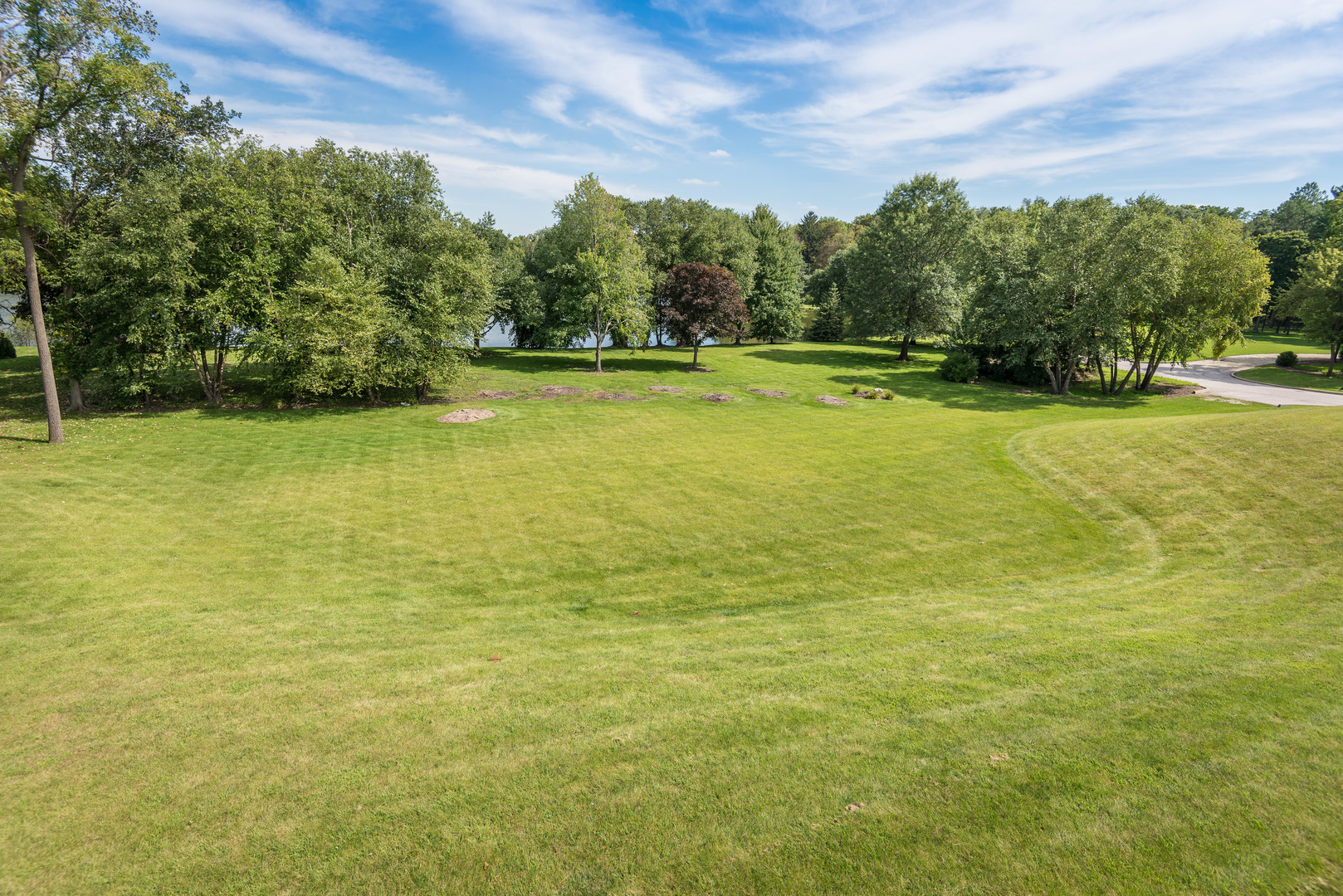 39W690 WEEPING BEECH Lane