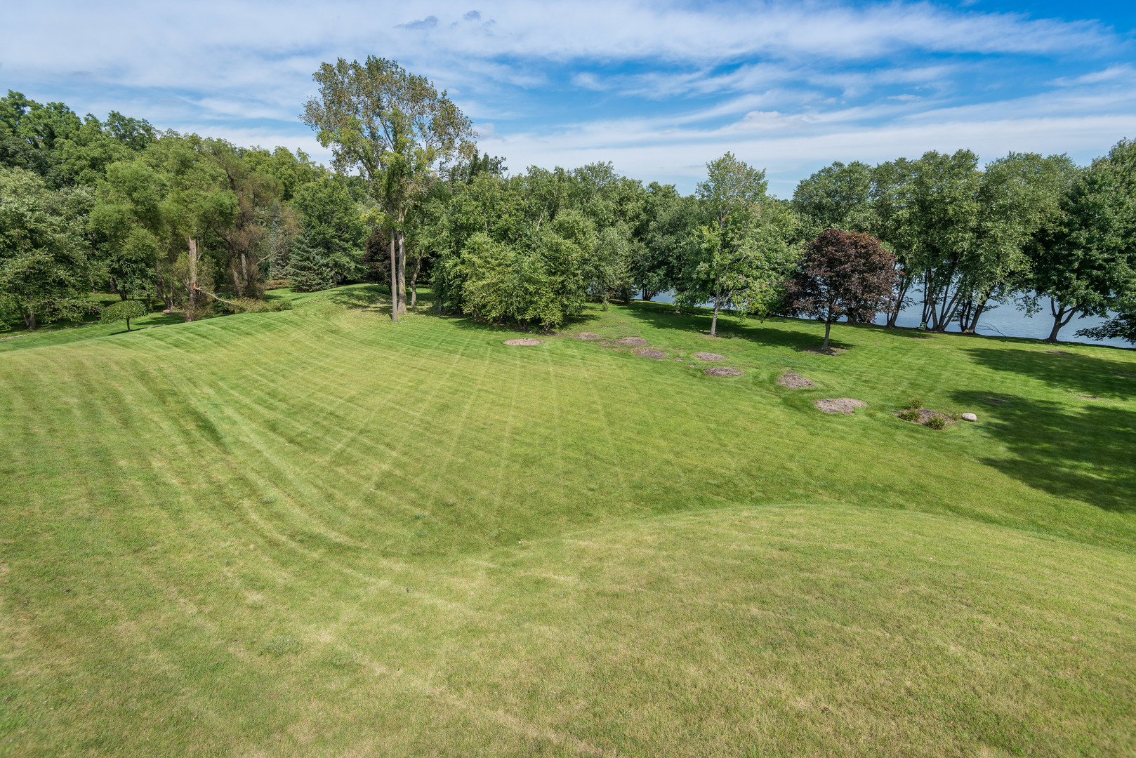 39W690 WEEPING BEECH Lane