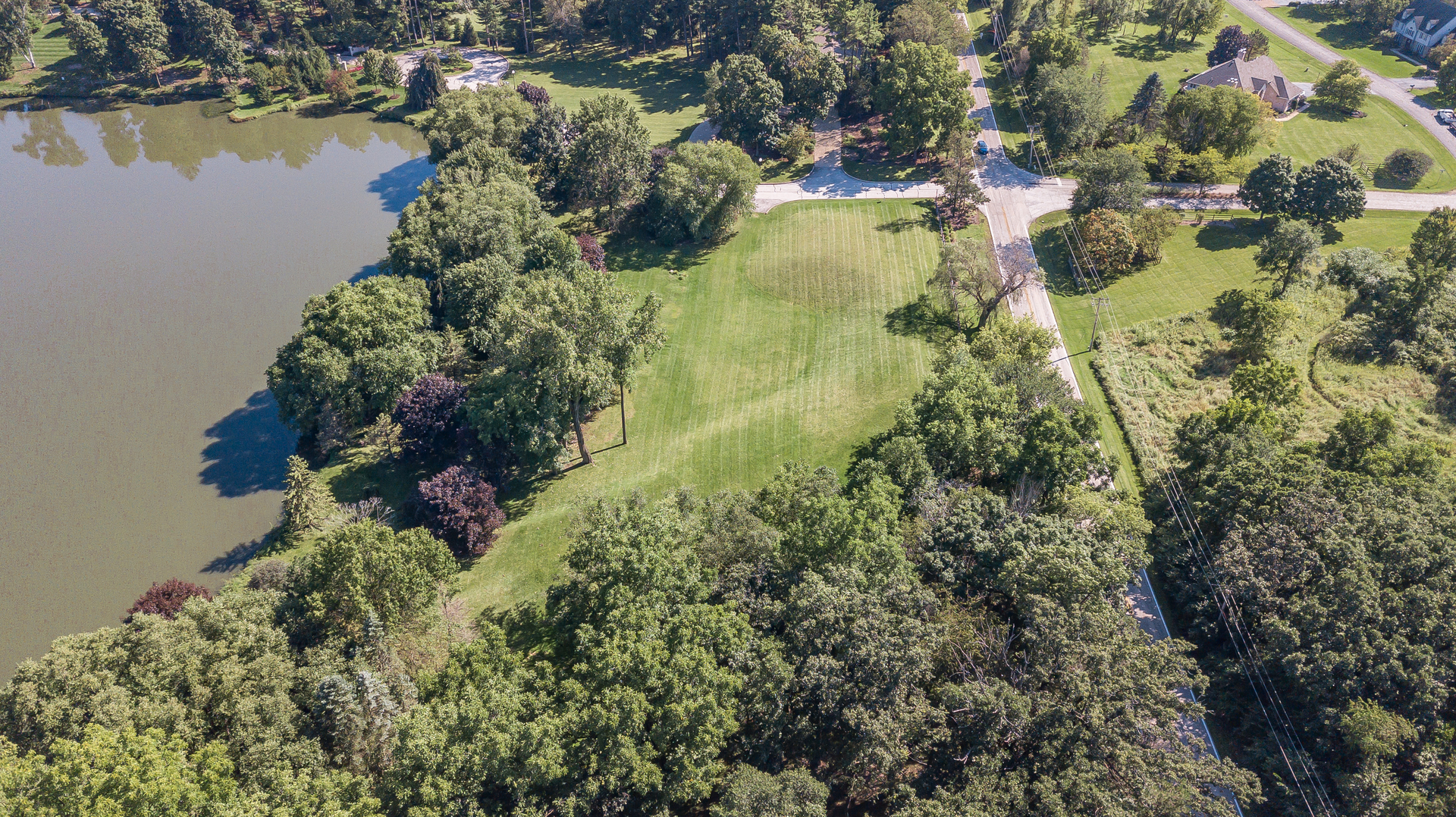 39W690 WEEPING BEECH Lane