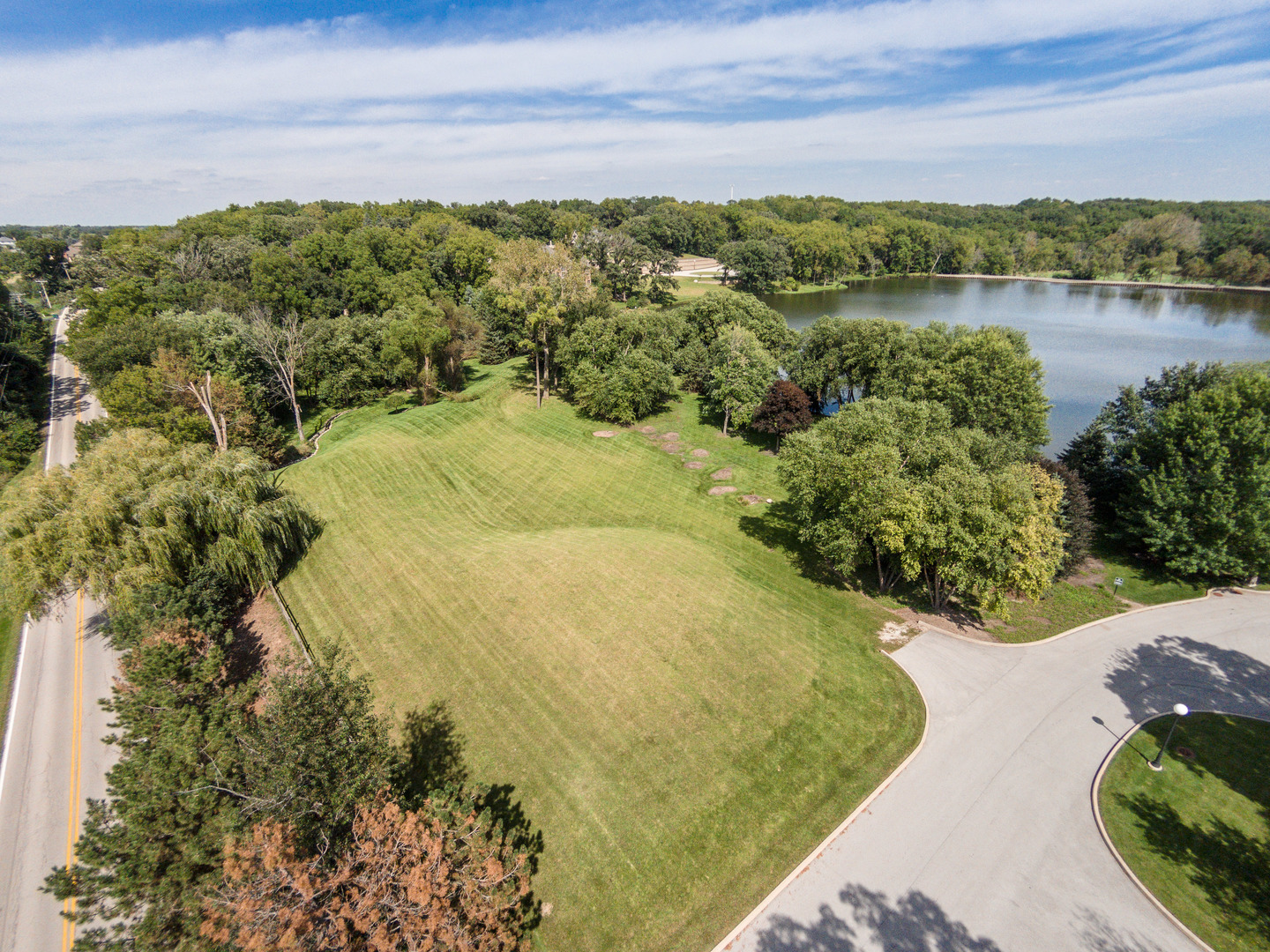 39W690 WEEPING BEECH Lane