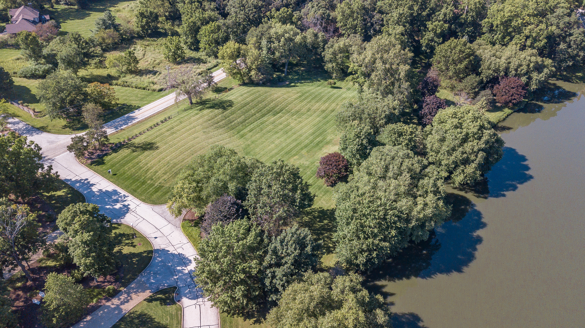 39W690 WEEPING BEECH Lane