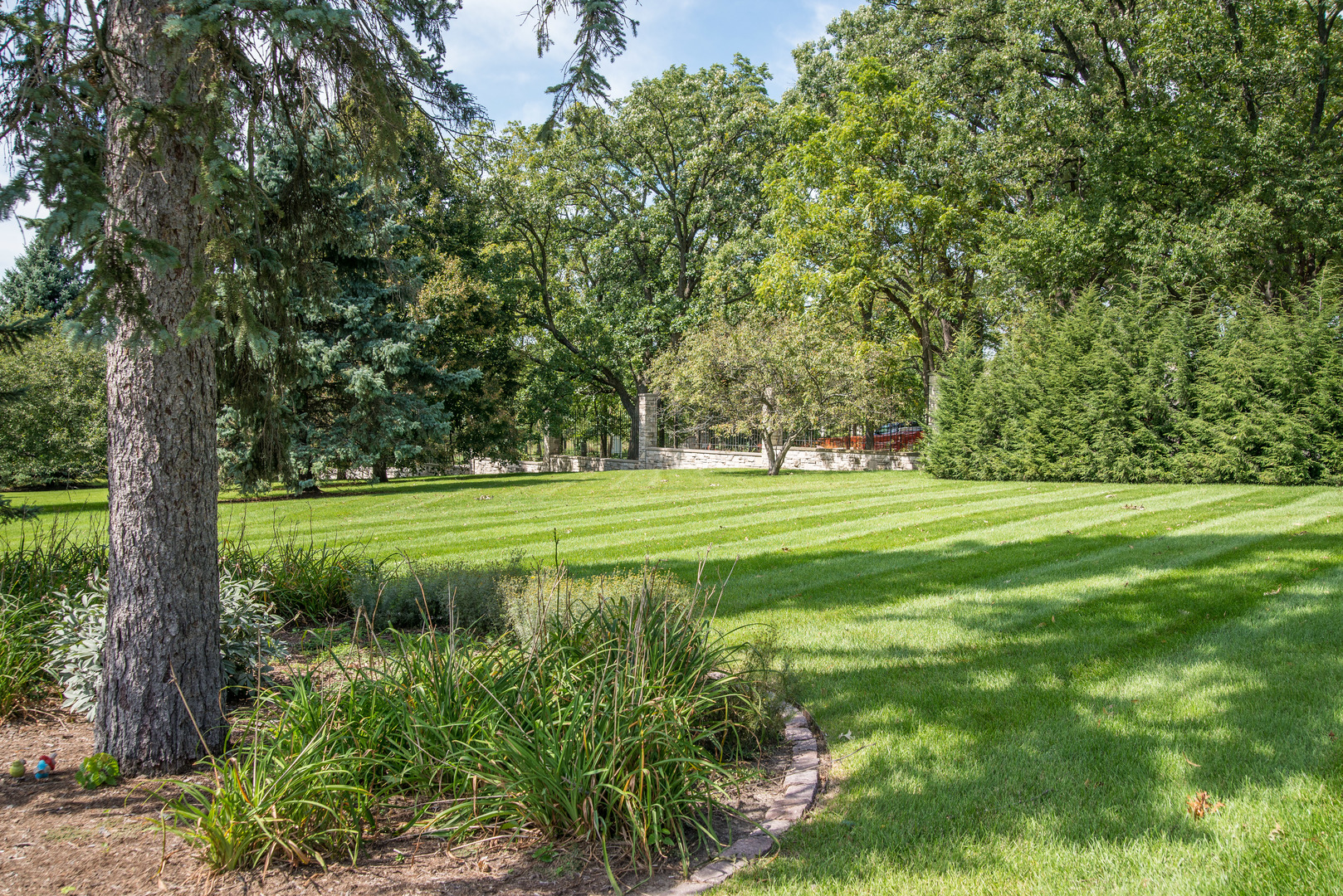 39W690 WEEPING BEECH Lane