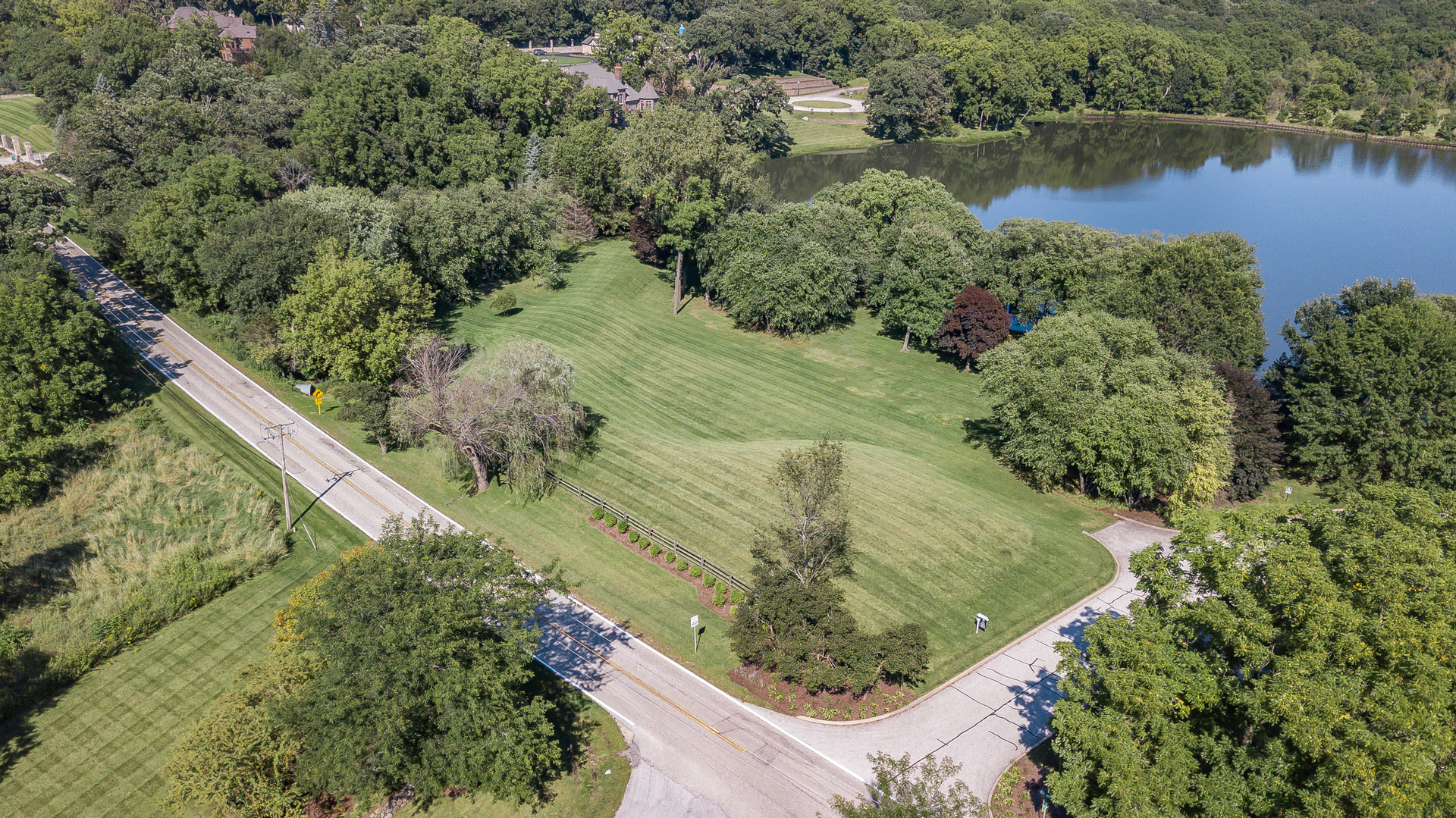 39W690 WEEPING BEECH Lane