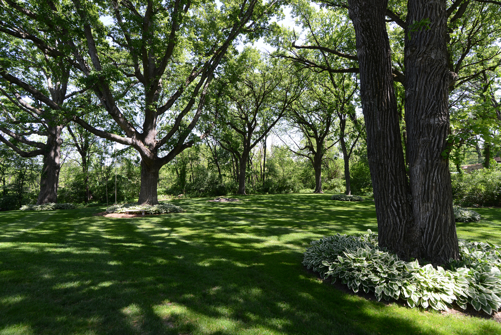 41W586 Golden Oaks Lane