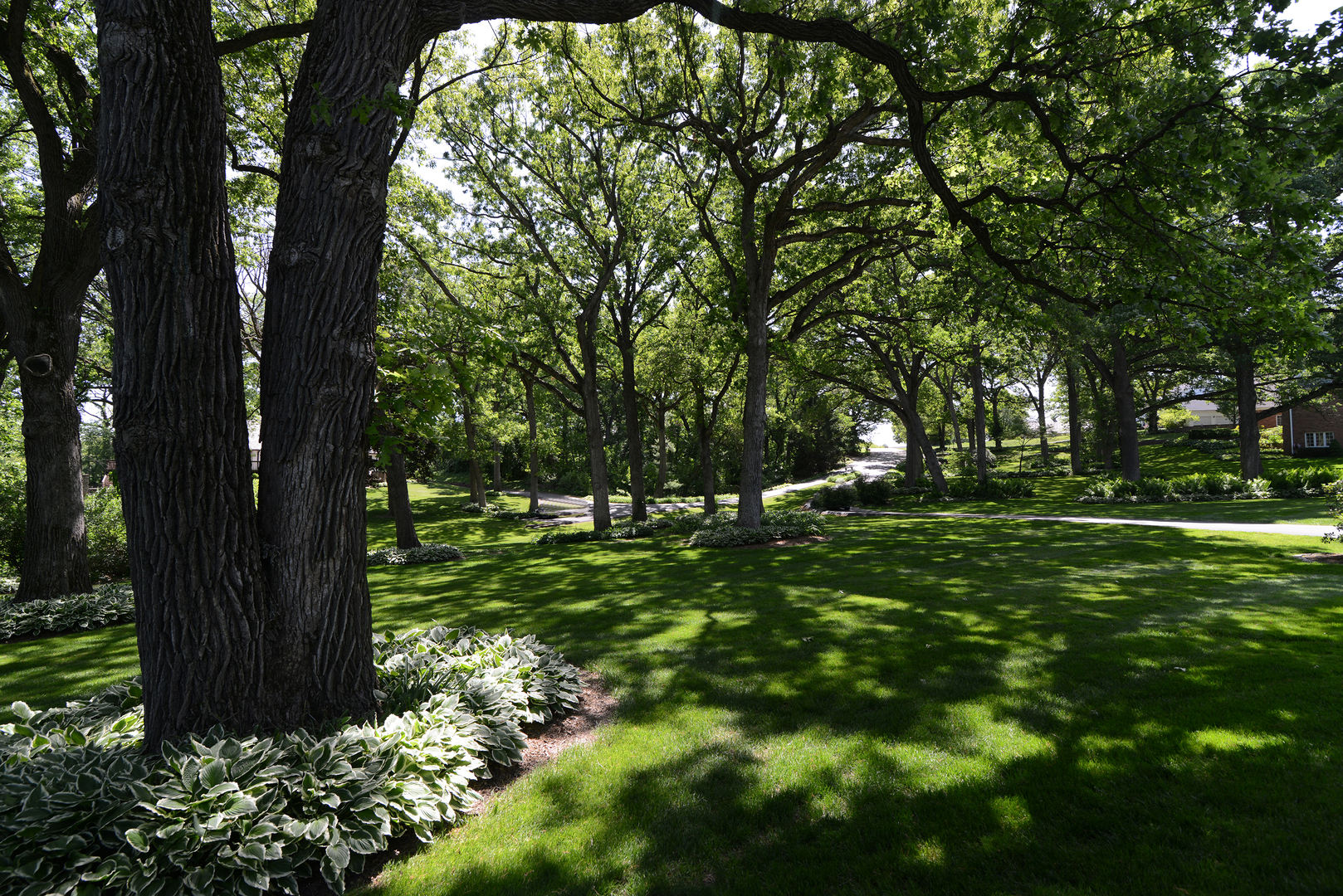 41W586 Golden Oaks Lane