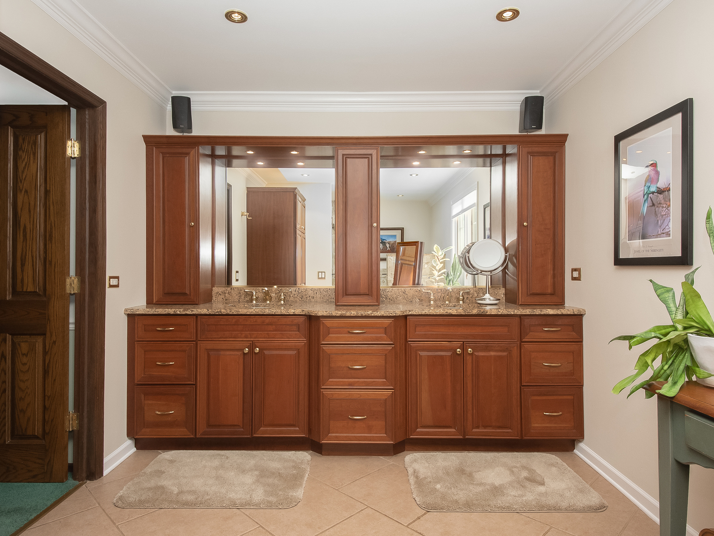 41W586 Golden Oaks Lane