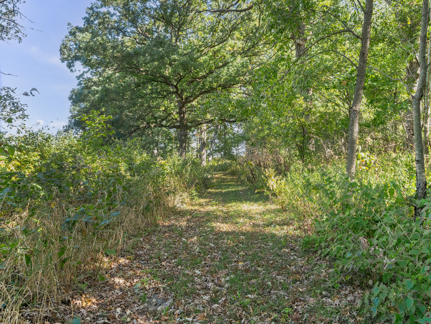 3N071 Campton Woods Drive